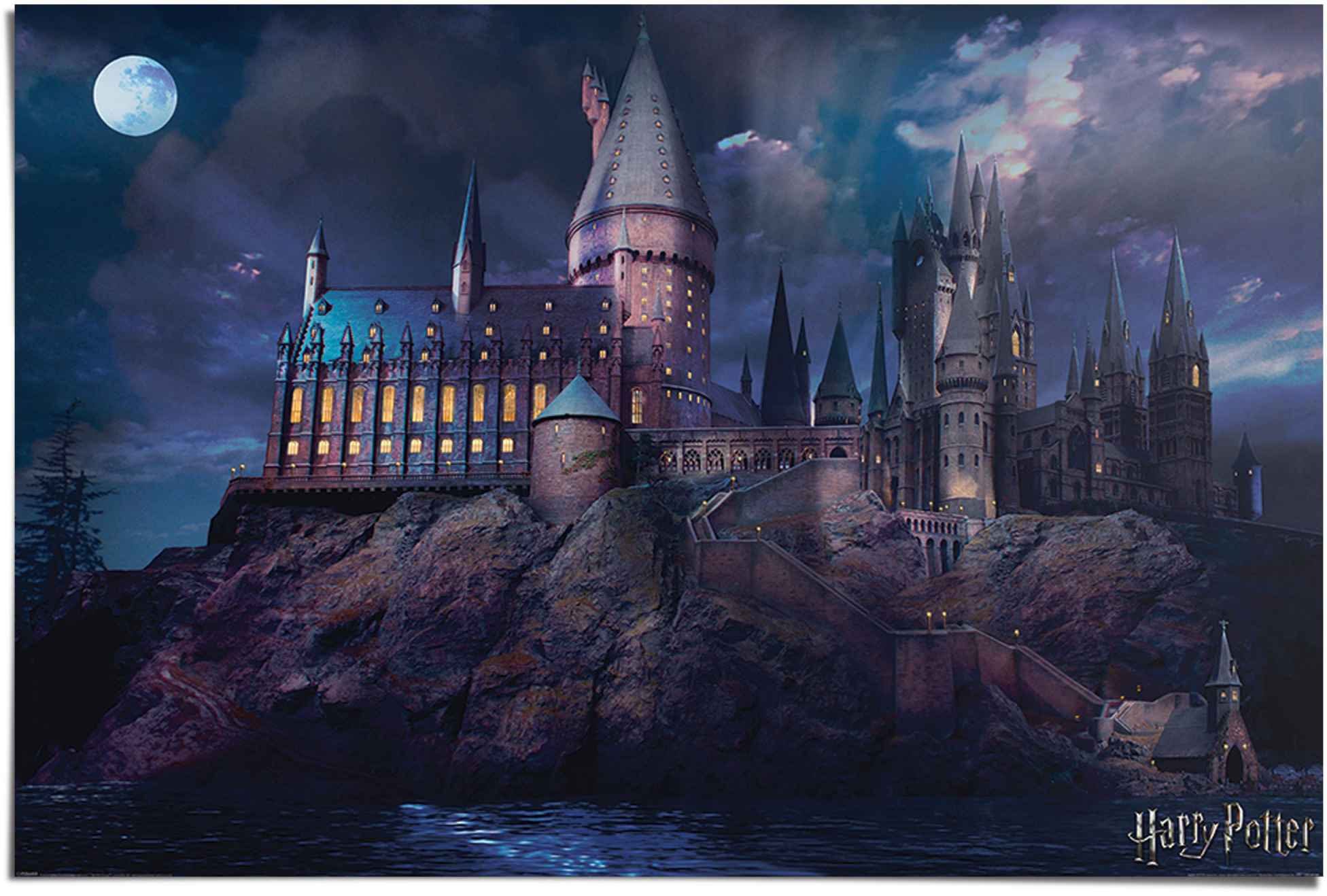 Reinders! Poster Harry Potter Hogwarts (1 stuk)