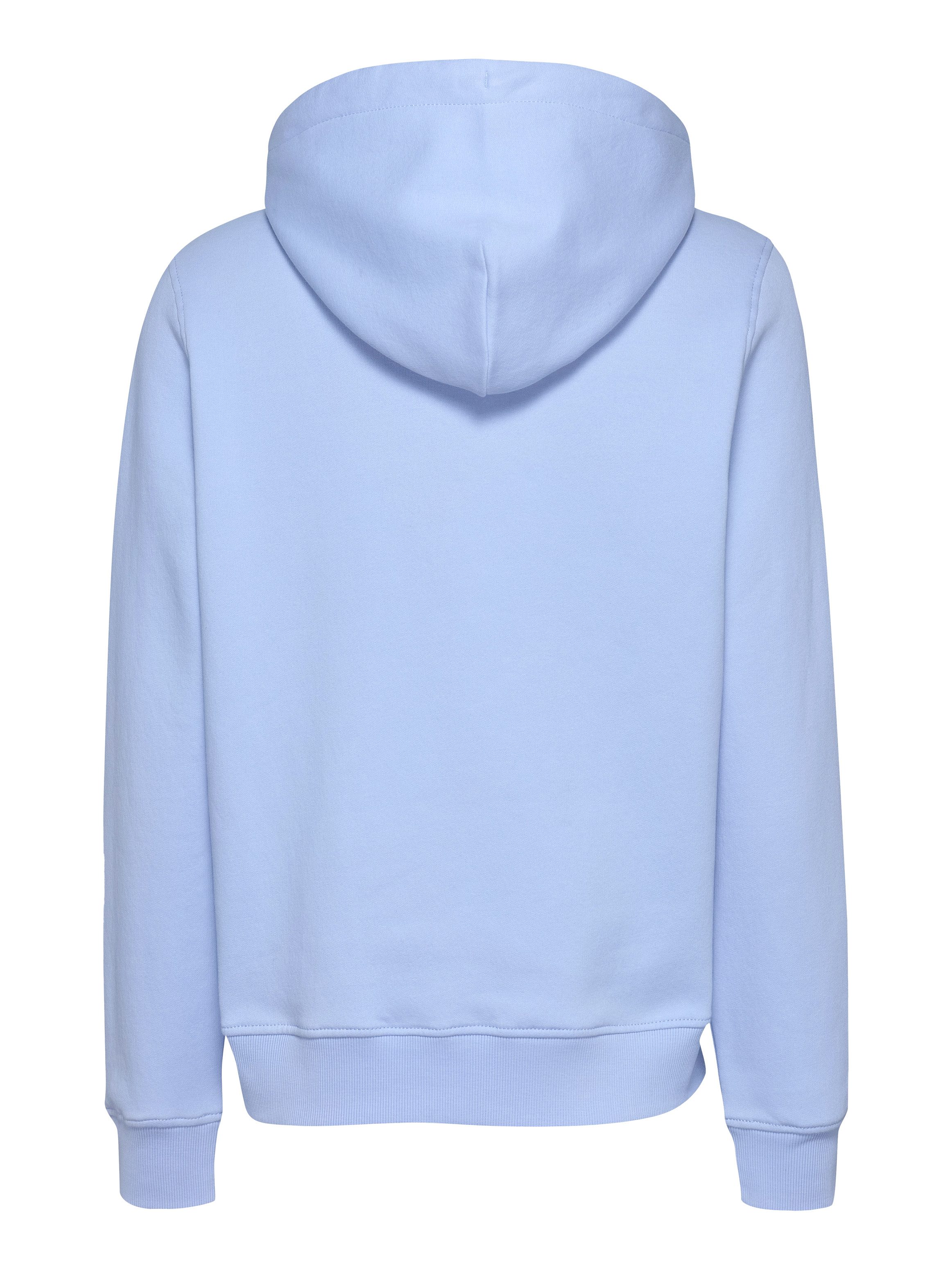 TOMMY JEANS Hoodie TJW REG LINEAR HOODIE met een logo-opschrift