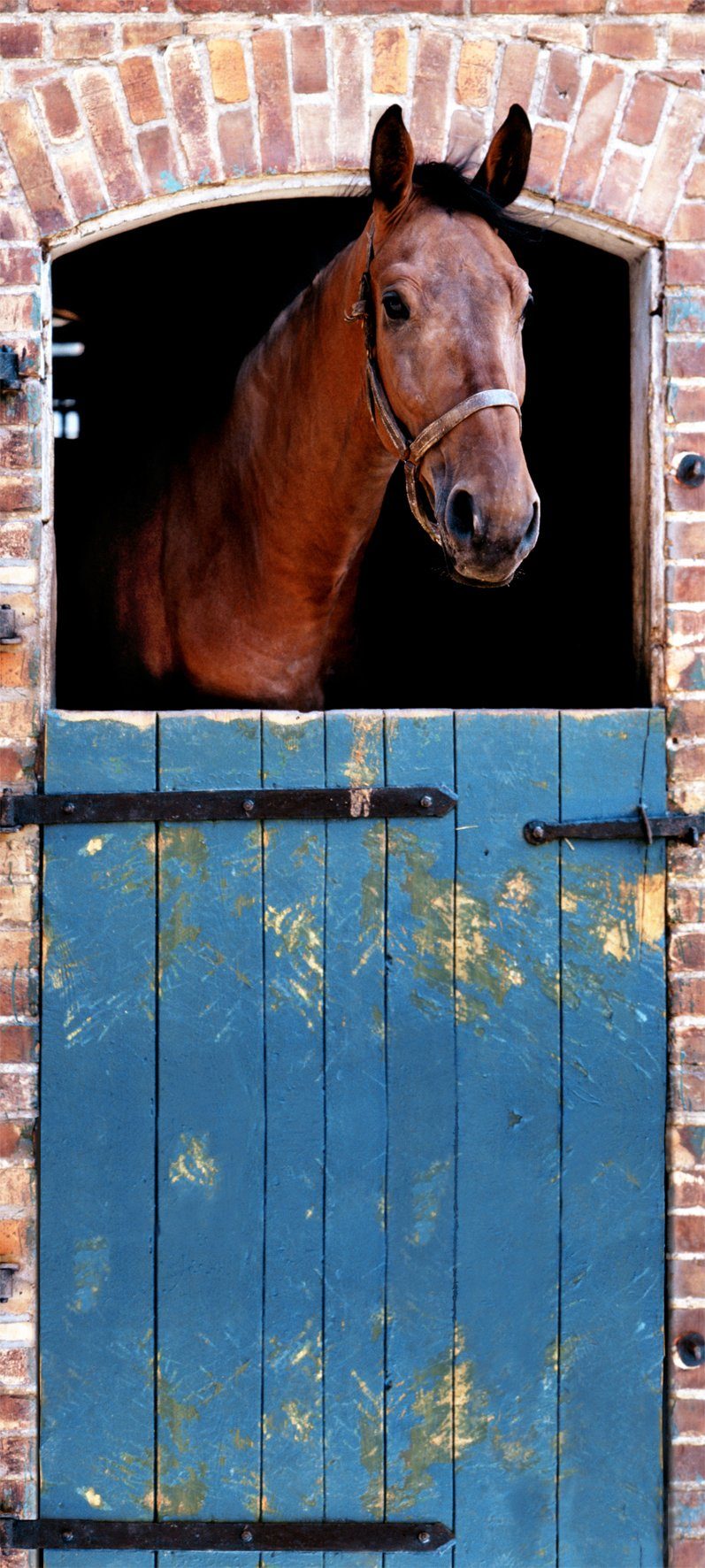Papermoon Fotobehang Horse - deurbehang Vlies, 2 banen, 90x 200 cm (2 stuks)