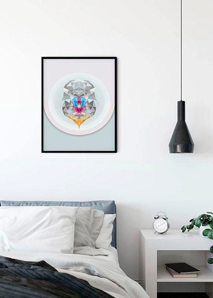 Komar Wanddecoratie Baboon Wanddecoratie - zonder lijst (1 stuk)