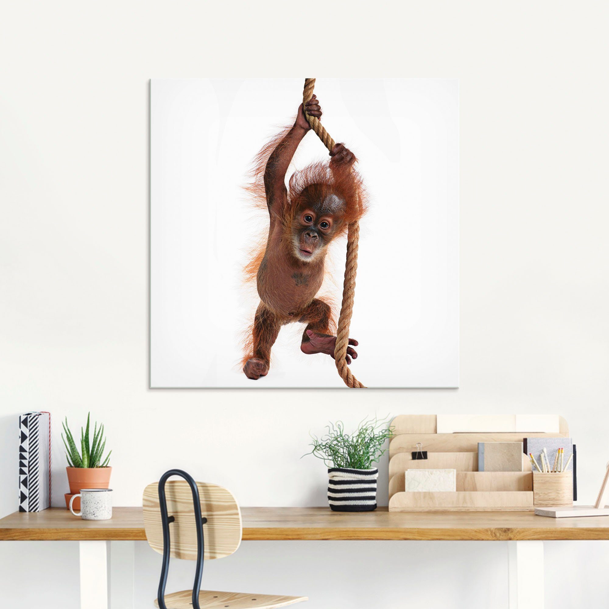 Artland Print op glas Baby orang oetan hangt aan het touw I