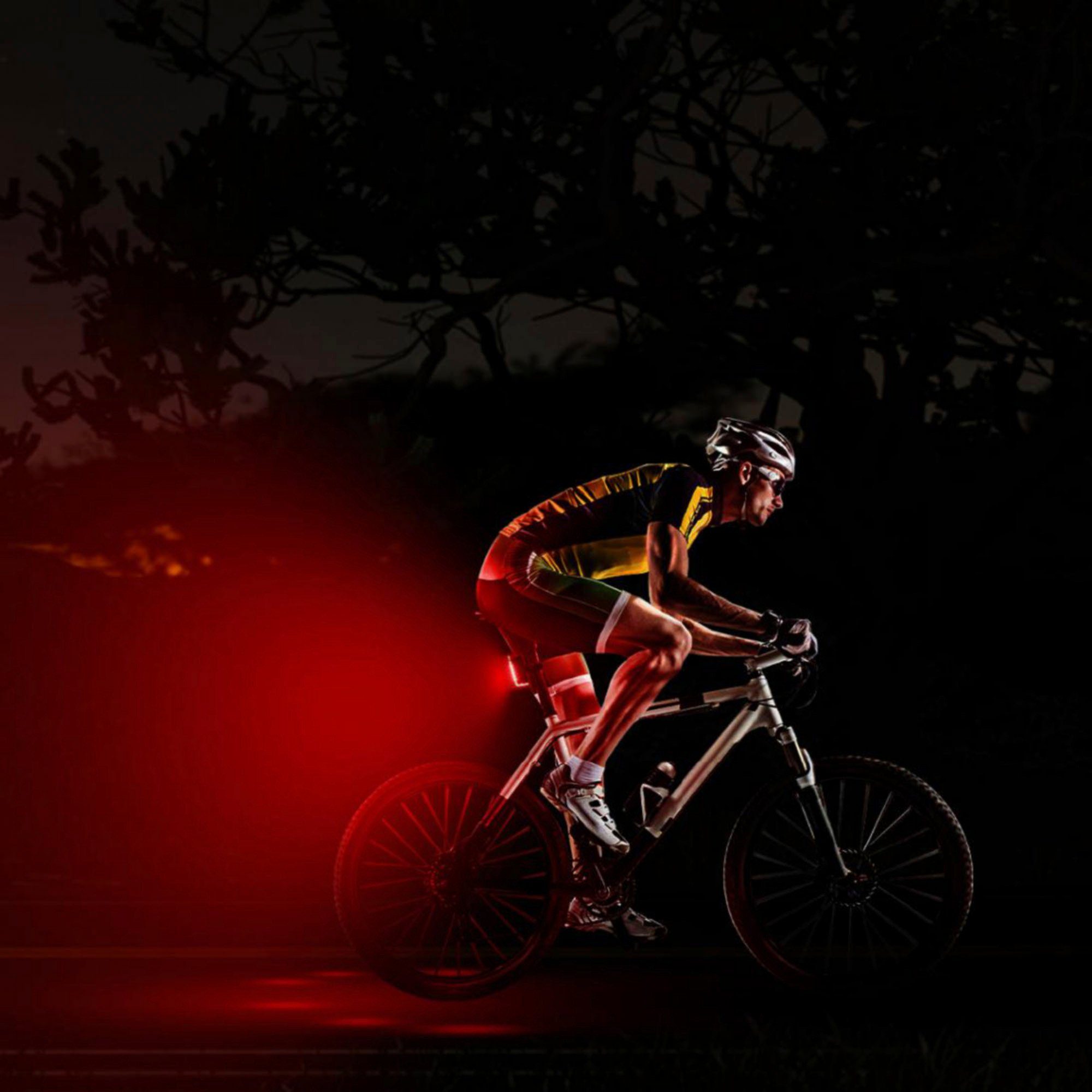 Fischer Fietsverlichting Led-accu-Bel. Set plus 100x130 groot licht + twin stop (set, 2-delig)
