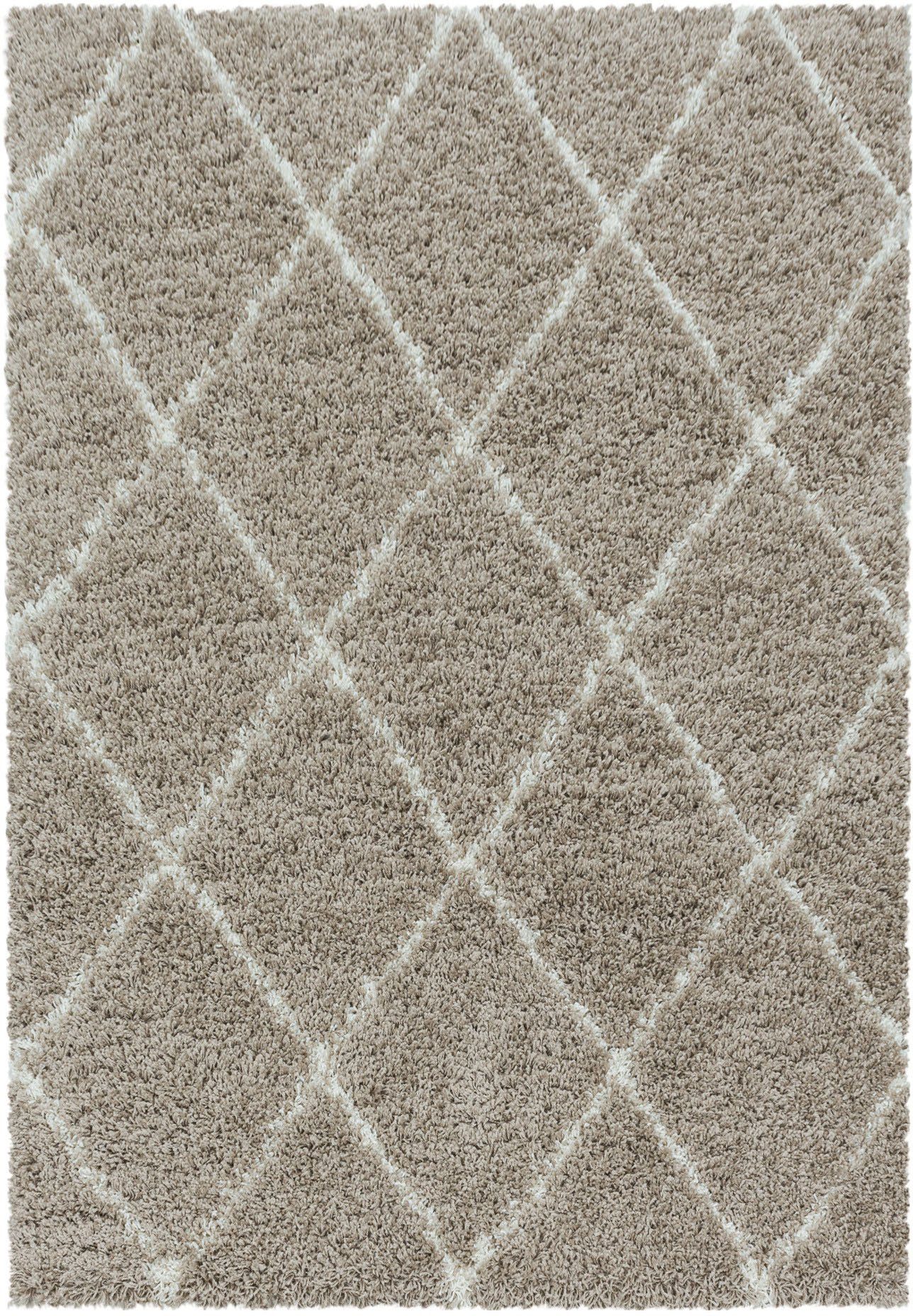 Ayyildiz Teppiche Hoogpolig vloerkleed ALVOR 3401