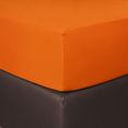 bettwarenshop hoeslaken boxspring elastisch voor extra hoge matrassen (1 stuk) oranje