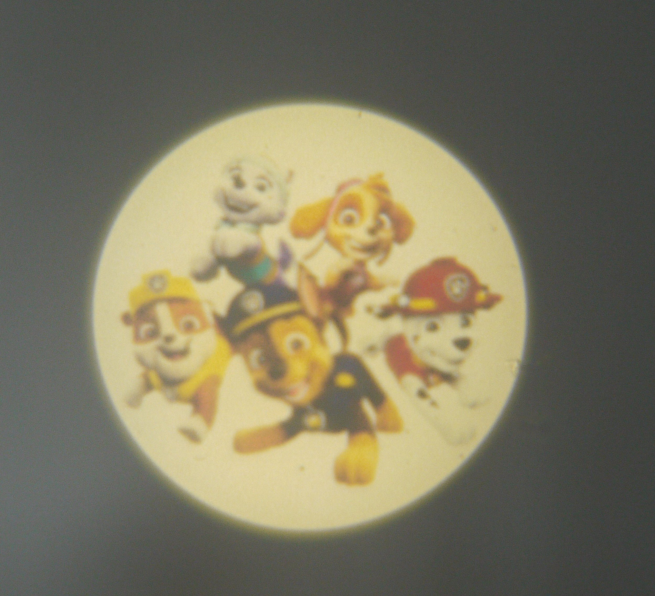 niermann Lednachtlampje Paw Patrol Set Paw Patrol 2 (1 x stekker-nachtlicht, 1 x draagbare beamer) (1 stuk)