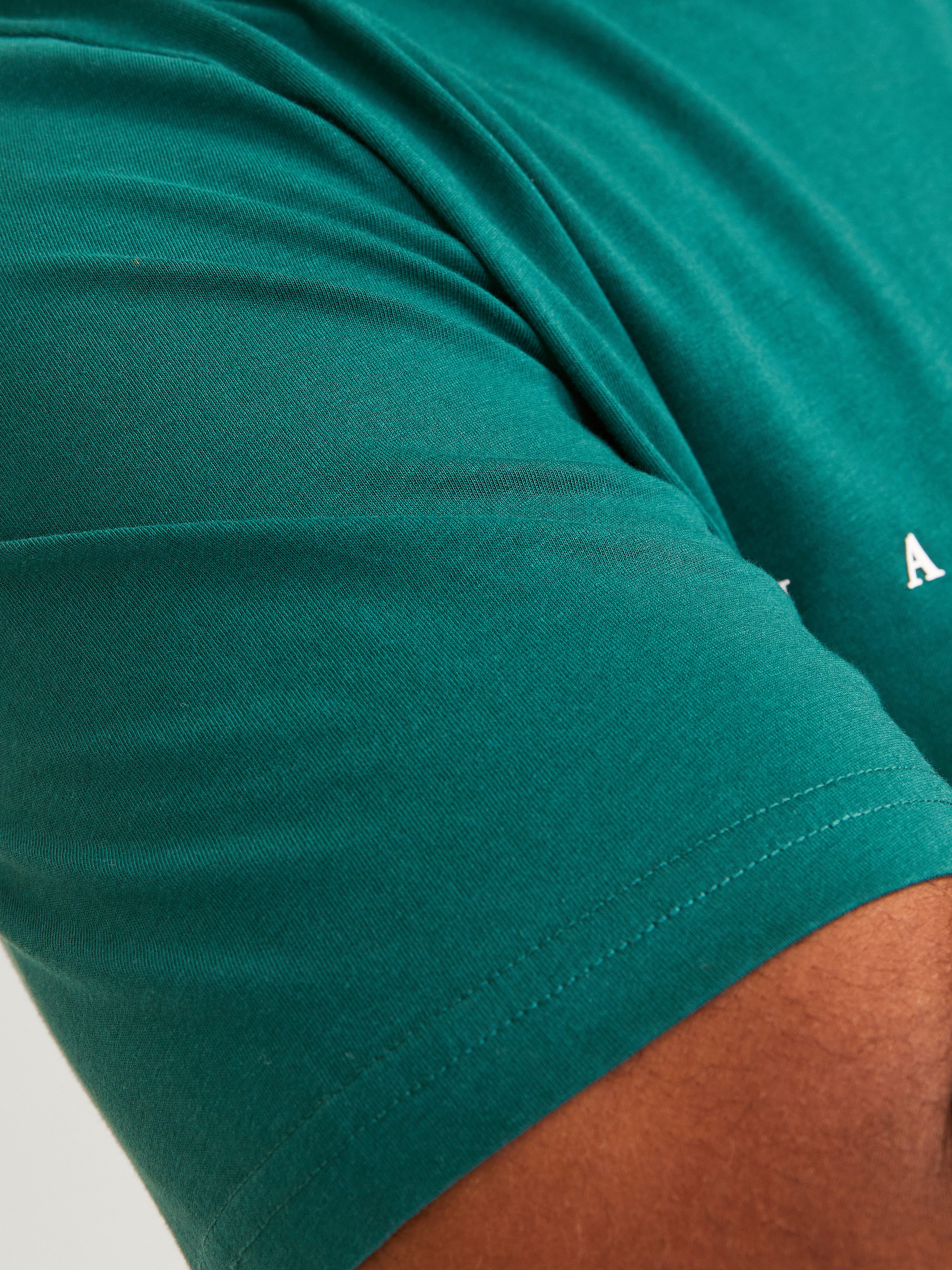 Jack & Jones PlusSize Shirt met ronde hals JJESTAR JJ TEE SS NOOS PLS