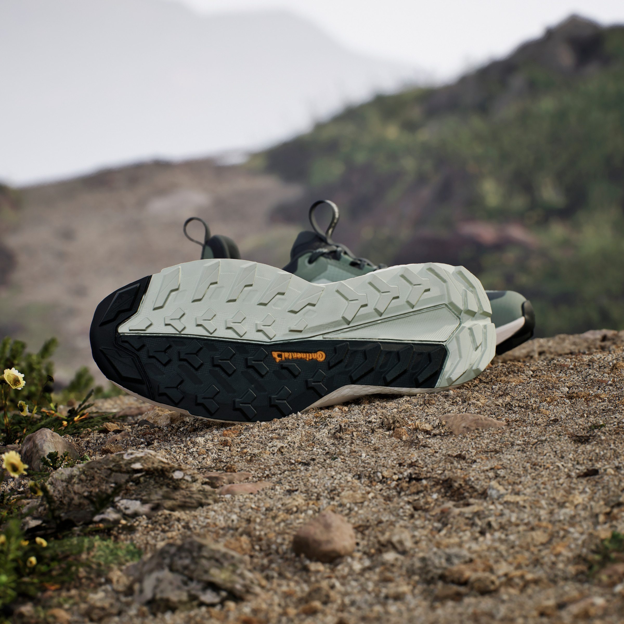 adidas TERREX Wandelschoenen TERREX FREE HIKER 2.0 LOW GORE-TEX
