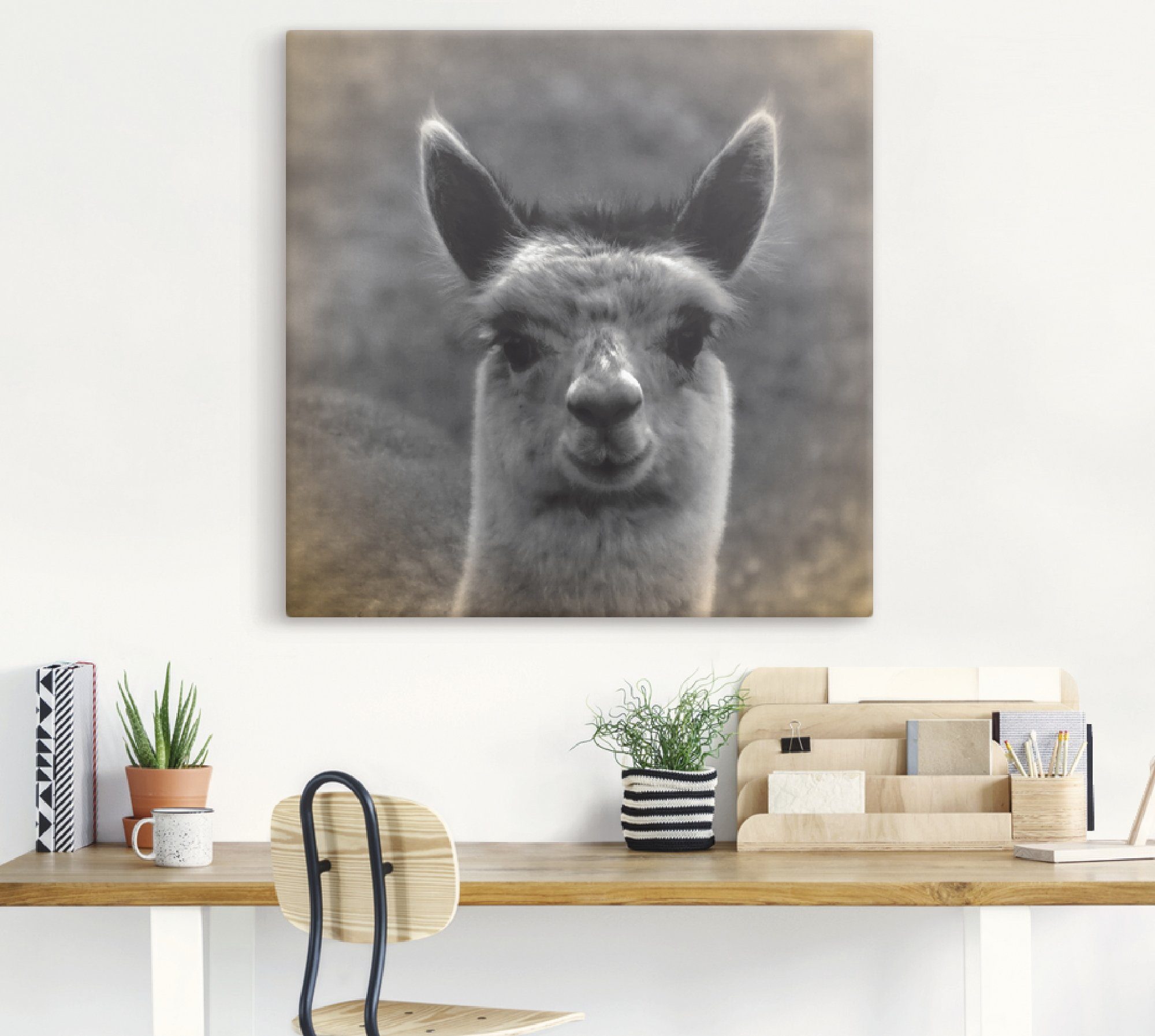 Artland Artprint Alpaca blik als artprint van aluminium, artprint voor buiten, artprint op linnen, poster in verschillende maten. maten
