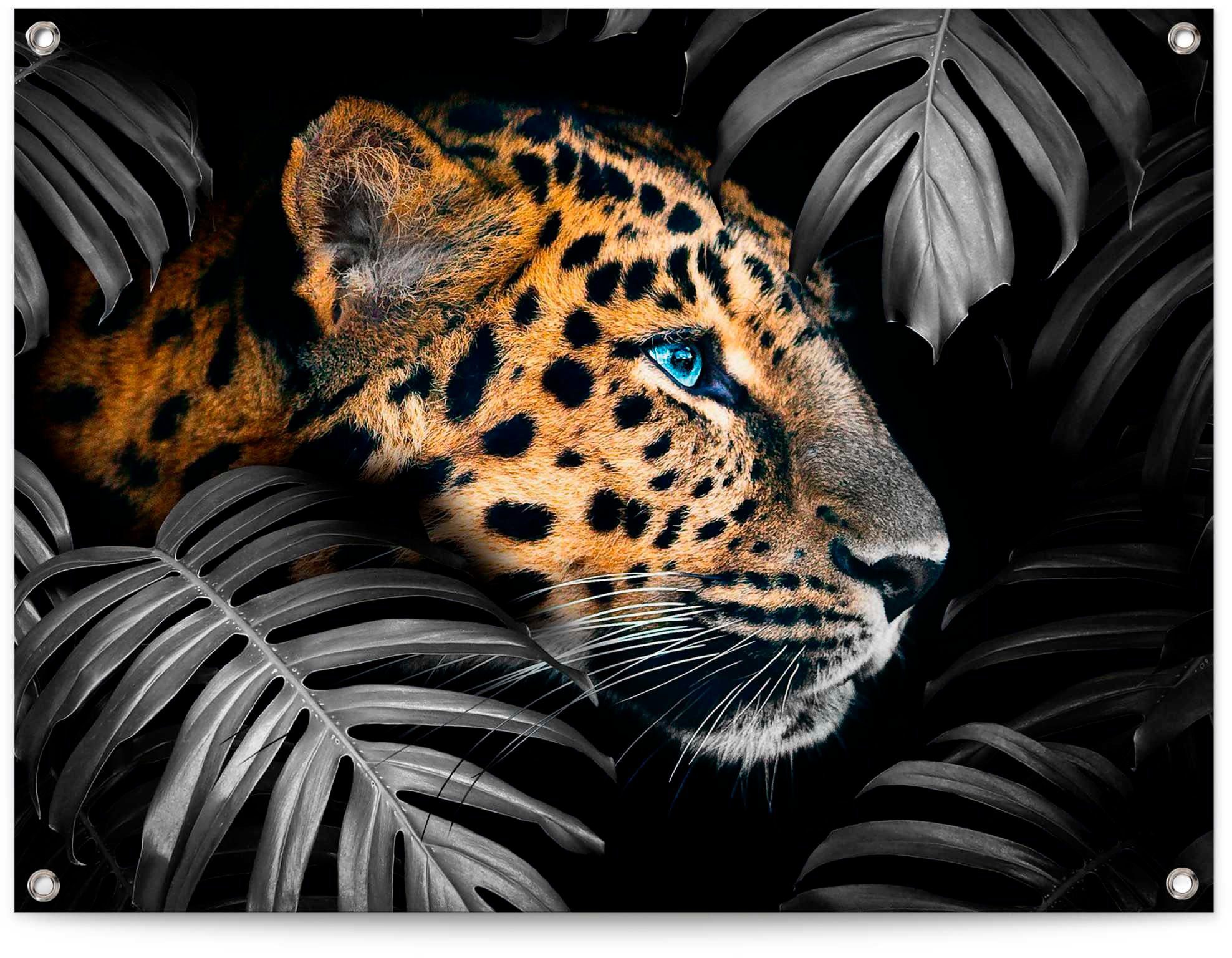 Reinders! Poster Leopard | online shop in OTTO de
