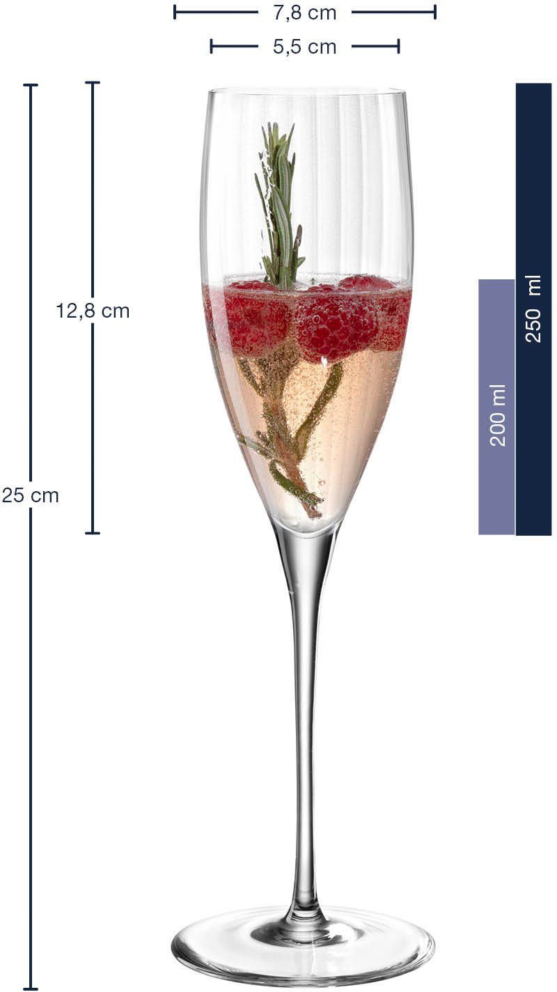 LEONARDO Champagneglas Poesia 250 ml(set, 6-delig)