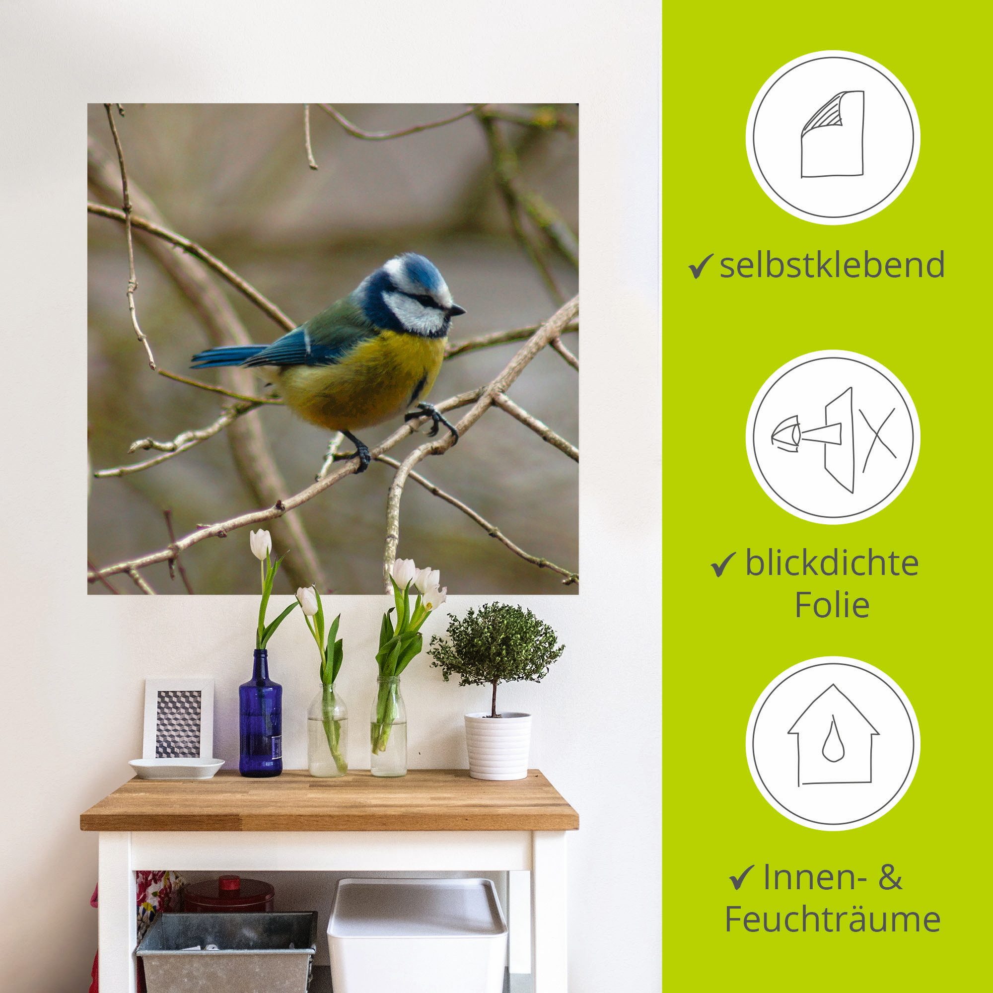 Artland Artprint Pimpelmees als artprint op linnen, muursticker in verschillende maten