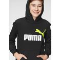 puma hoodie ess+ 2 col big logo hoodie fl b zwart