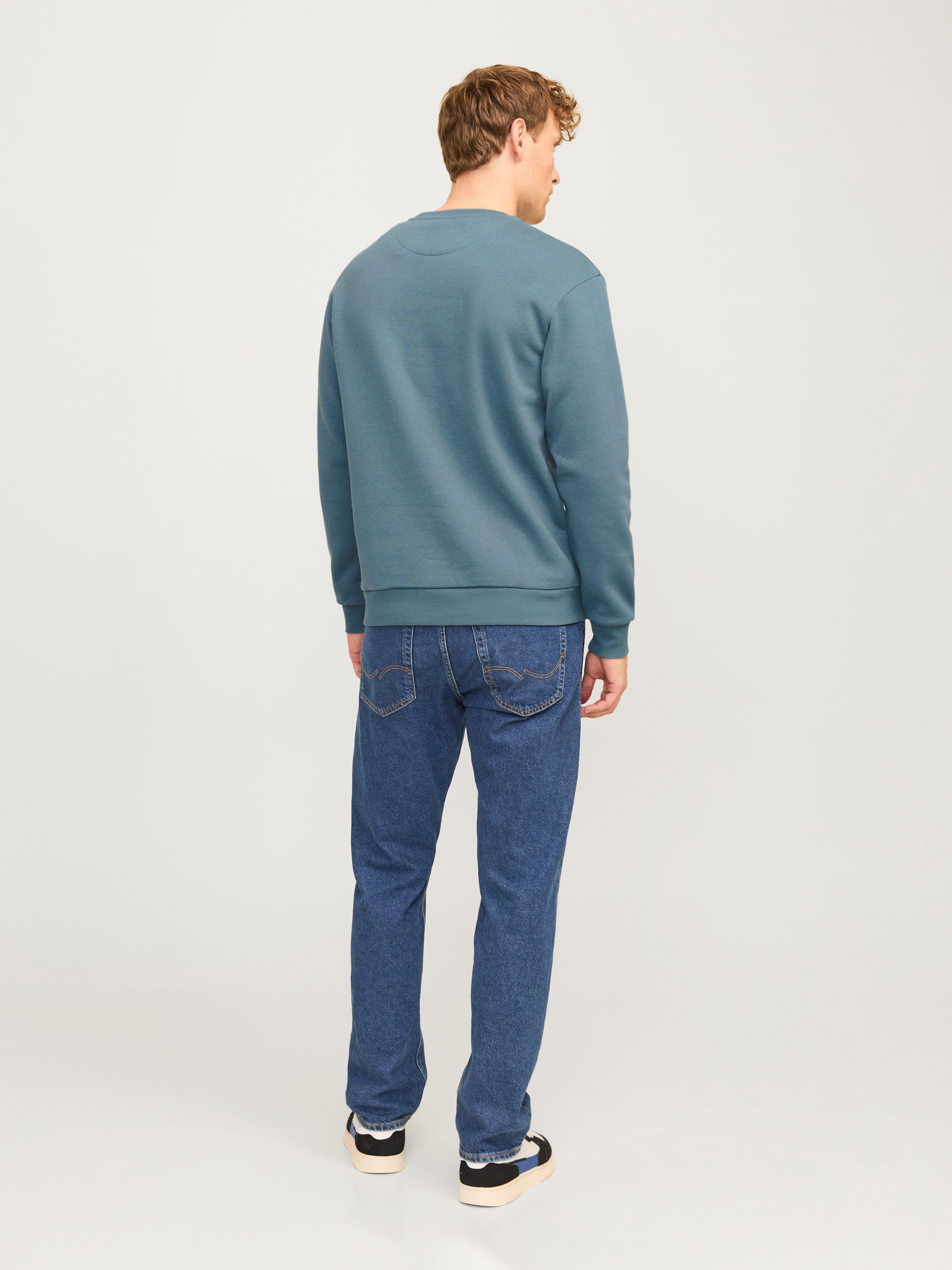 Jack & Jones Sweatshirt JJEBRADLEY SWEAT CREW NOOS