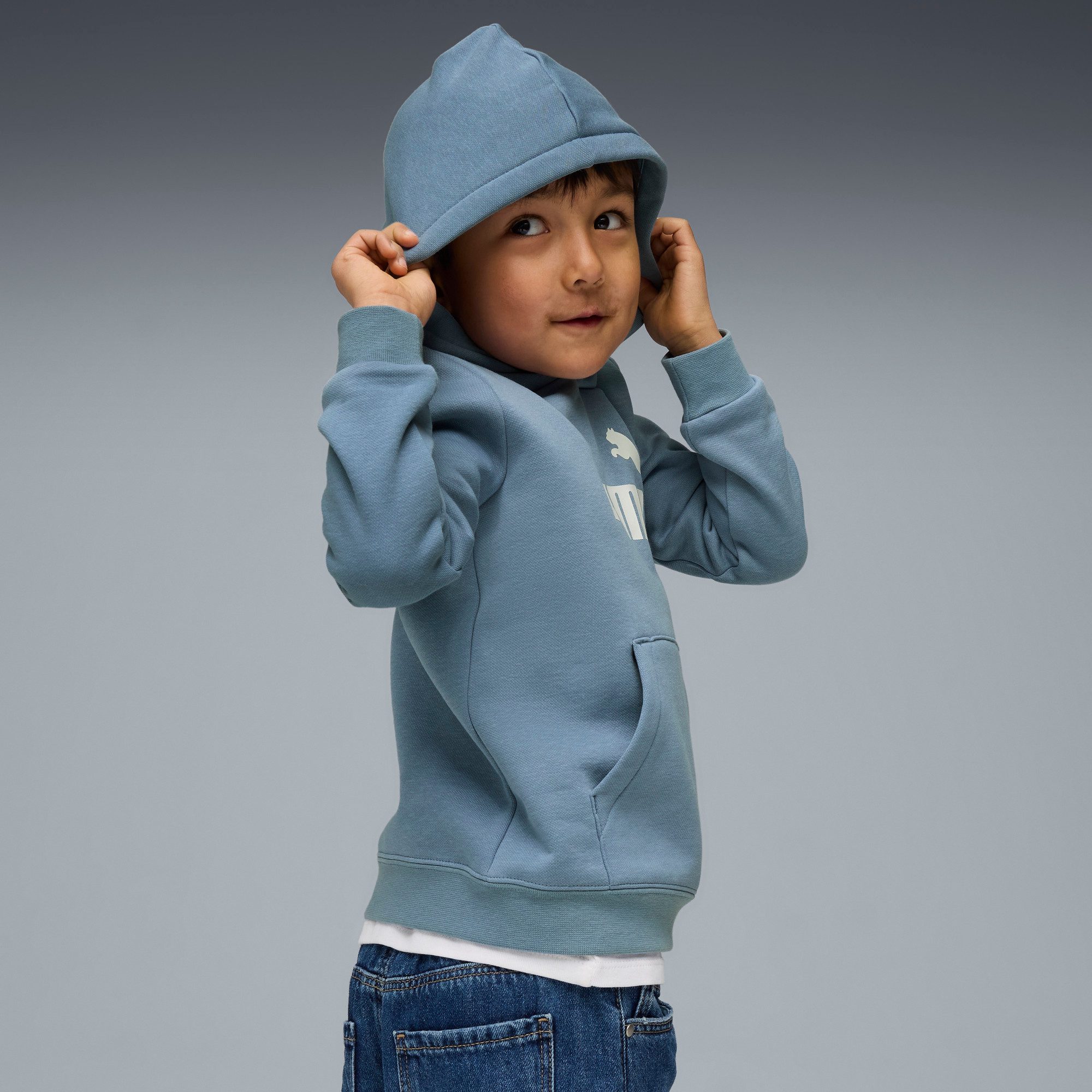 PUMA Hoodie ESS NO. 1 LOGO HOODIE FL PS