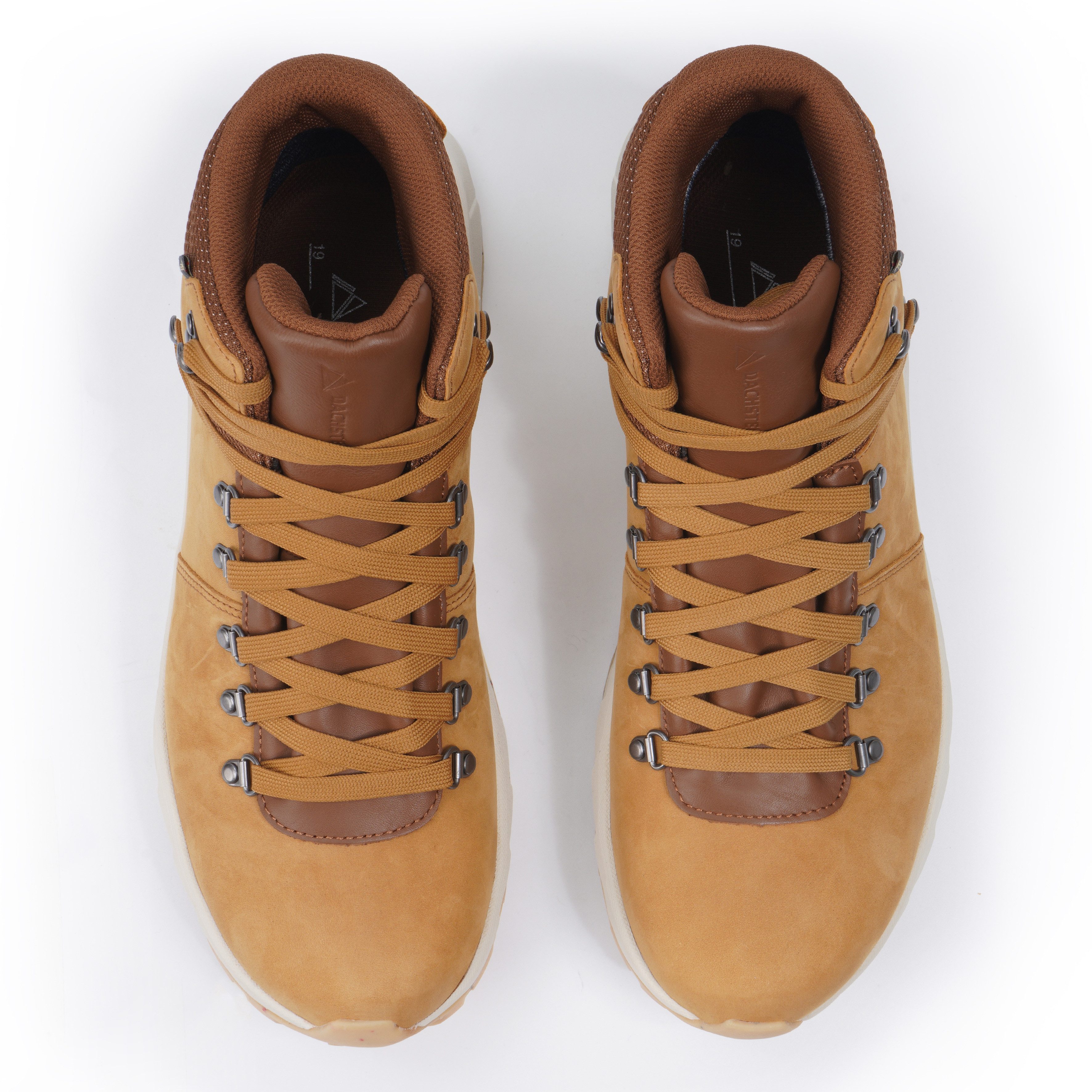 Dachstein Wandelschoenen ATLAS GTX waterdicht