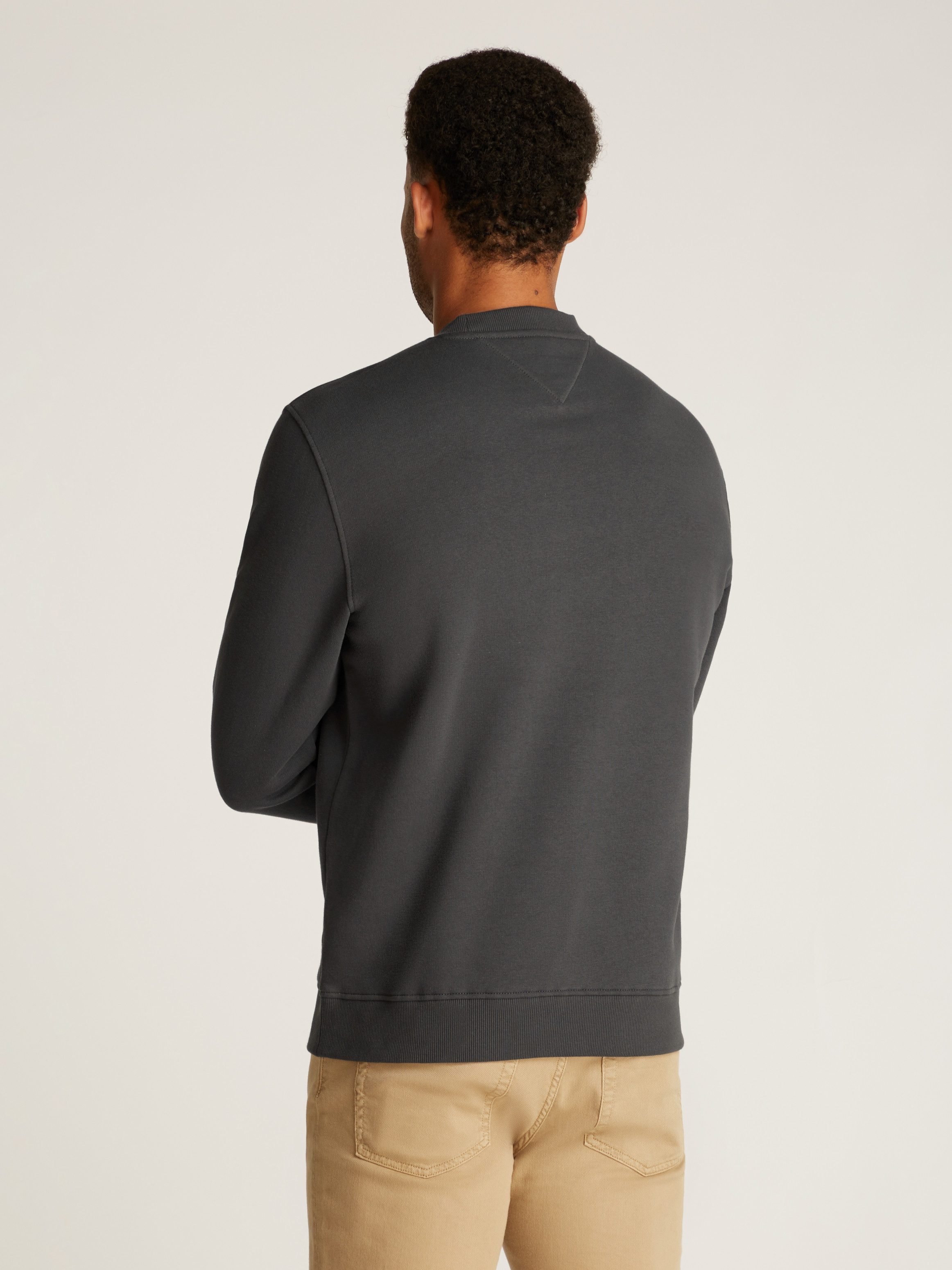 TOMMY JEANS Sweatshirt TJM REG LINEAR CREW EXT