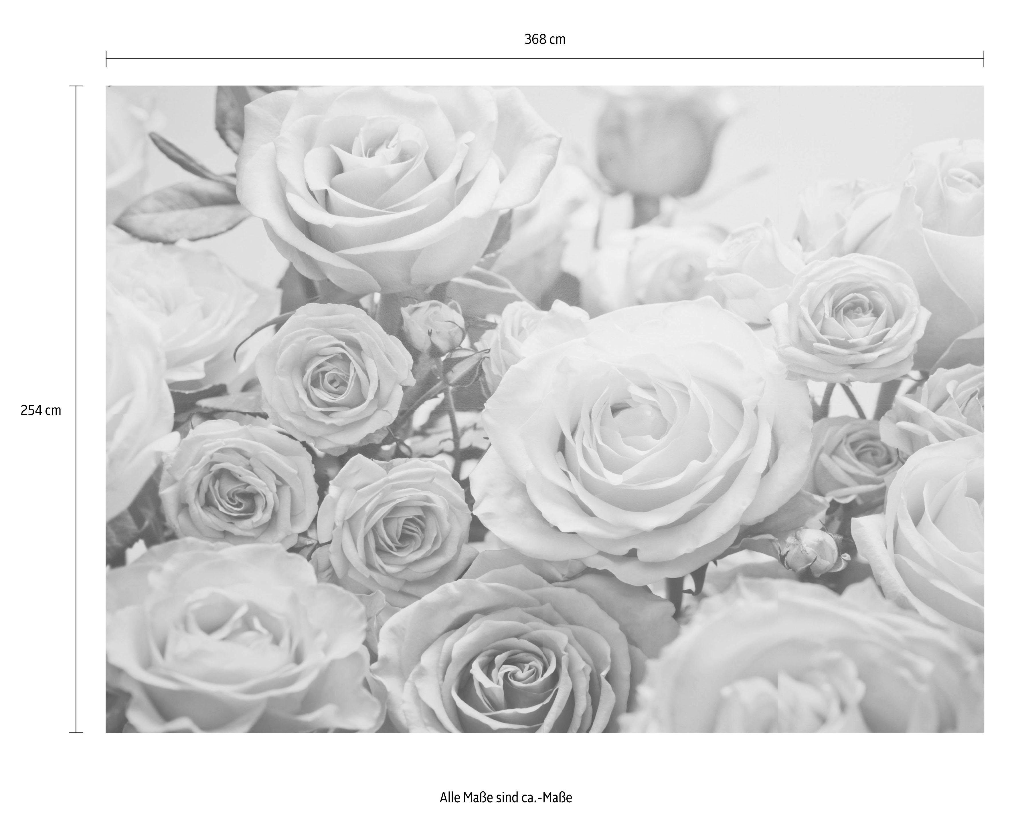 Komar Fotobehang Floraison - Afmeting 368 x 254 cm (set)