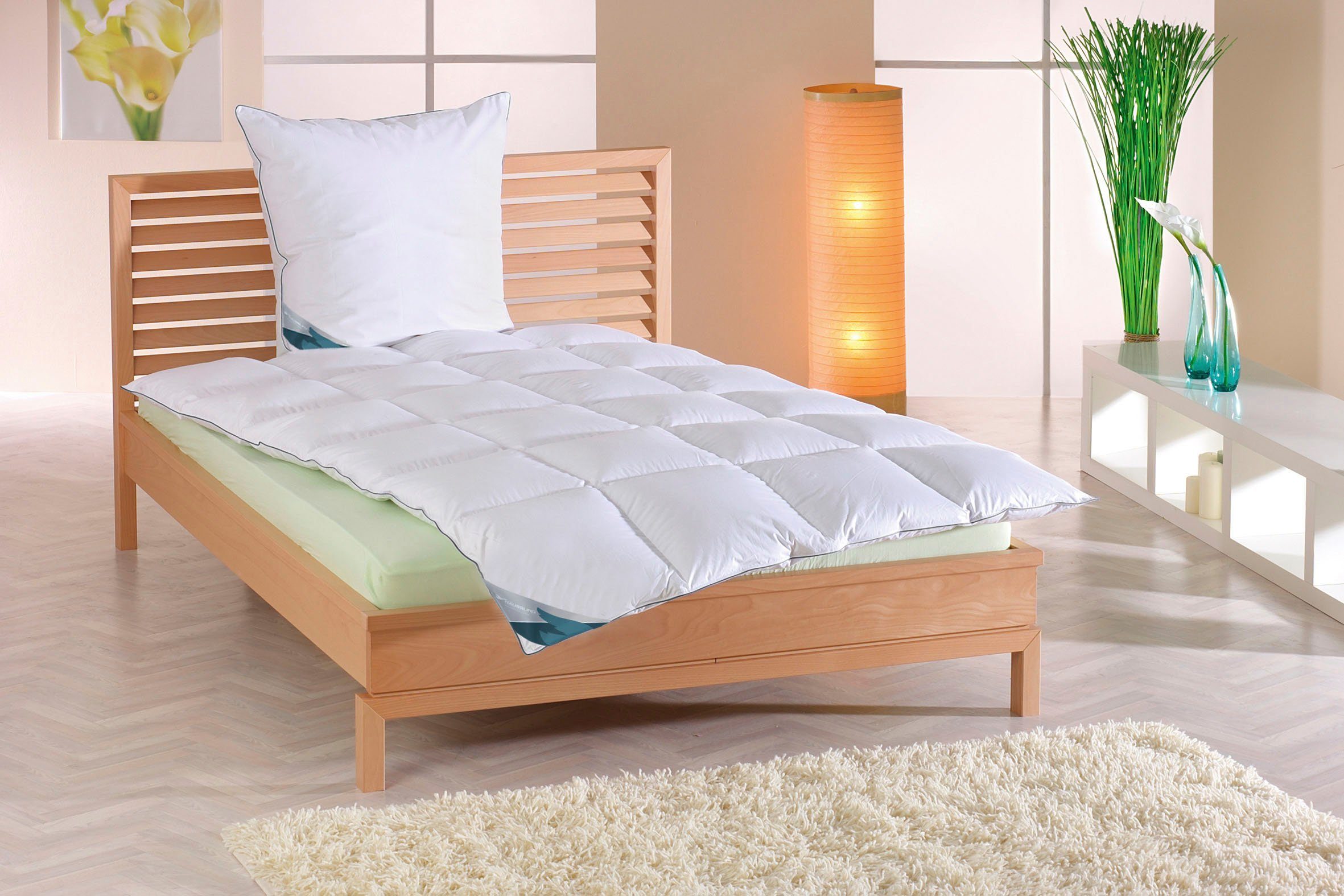 Haeussling Donzen dekbed Knuffeldroom Warm