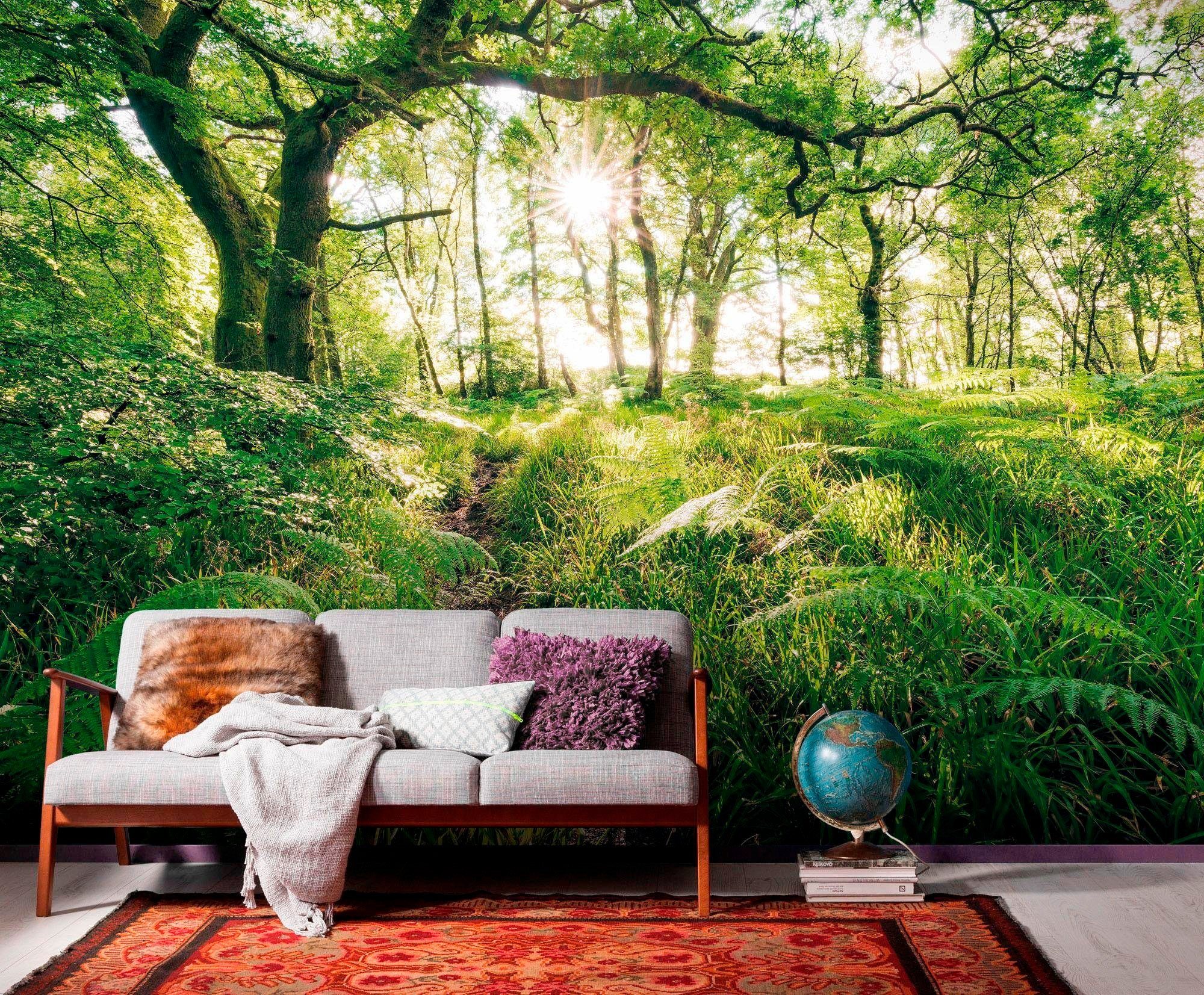 Komar Vliesbehang Digitale print vlies - Mystic Path - Afmeting 400 x 250 cm (1 stuk)
