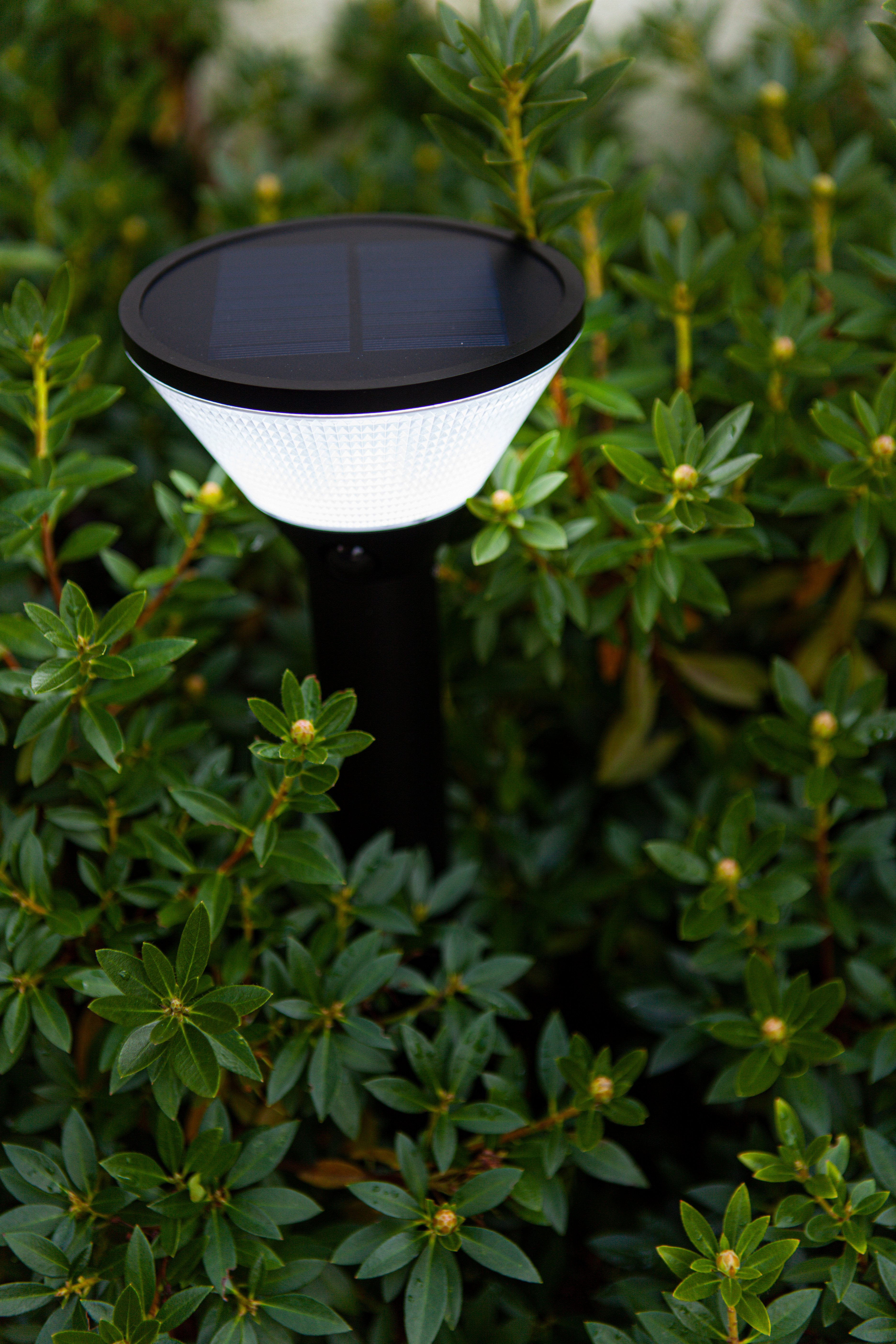 LUTEC Led-solarlamp LED-zonne-energie buitenstaande lamp KARLO