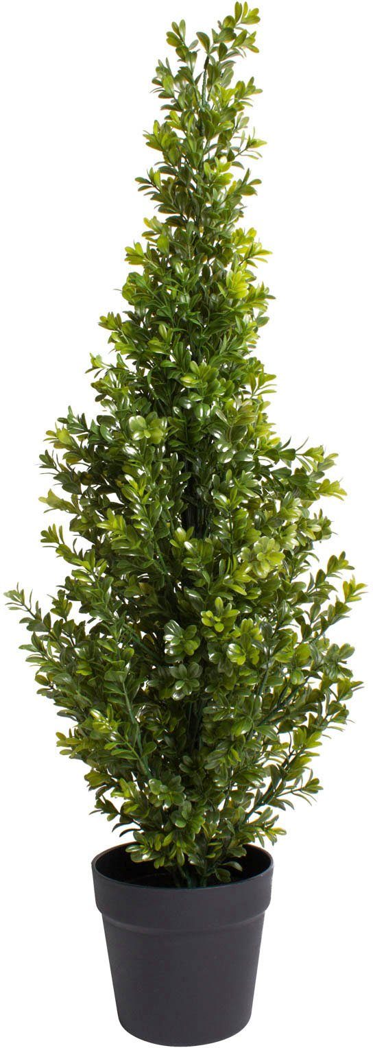 Botanic-Haus Kunst-potplanten Buxus in pot (1 stuk) kunstplanten groen
