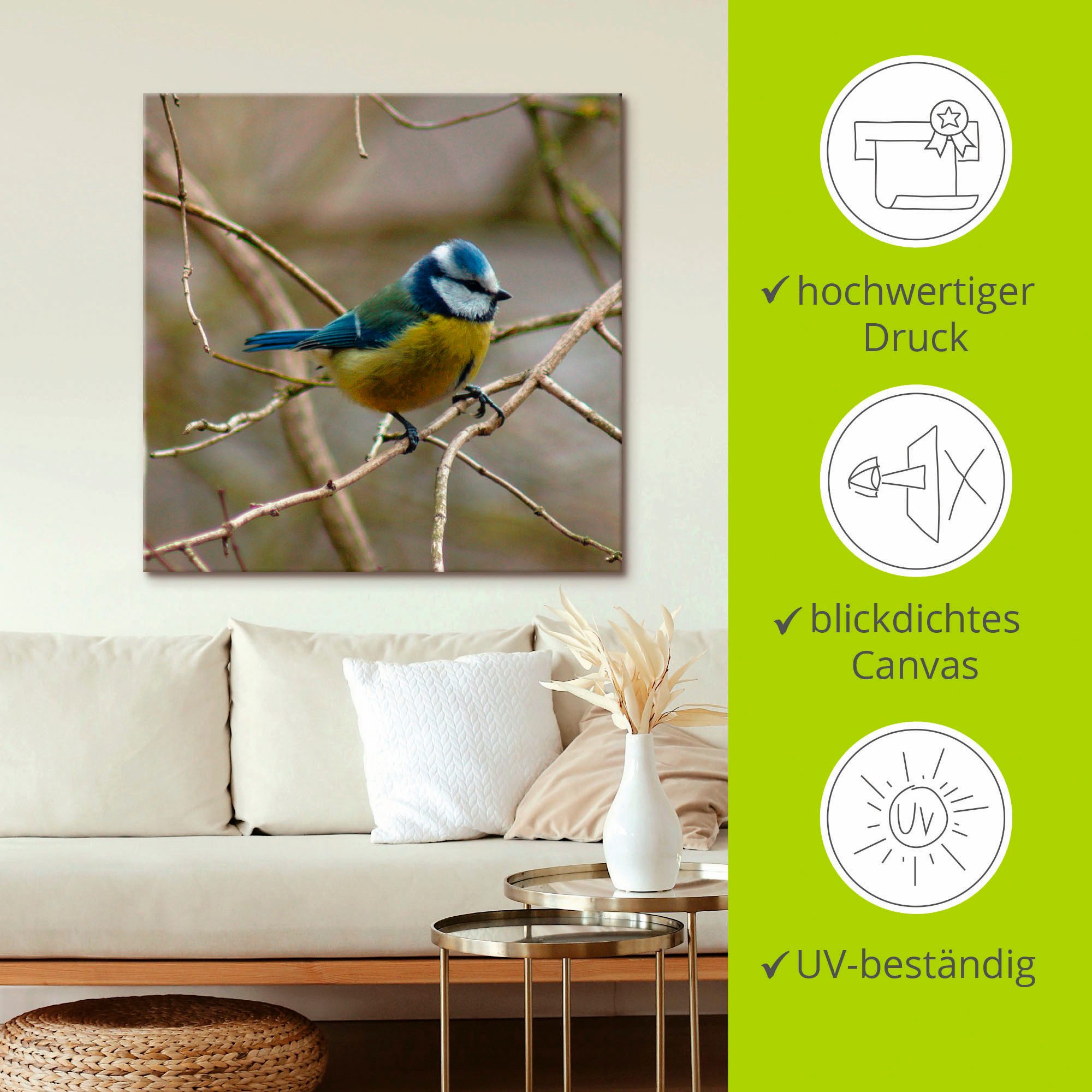 Artland Artprint Pimpelmees als artprint op linnen, muursticker in verschillende maten