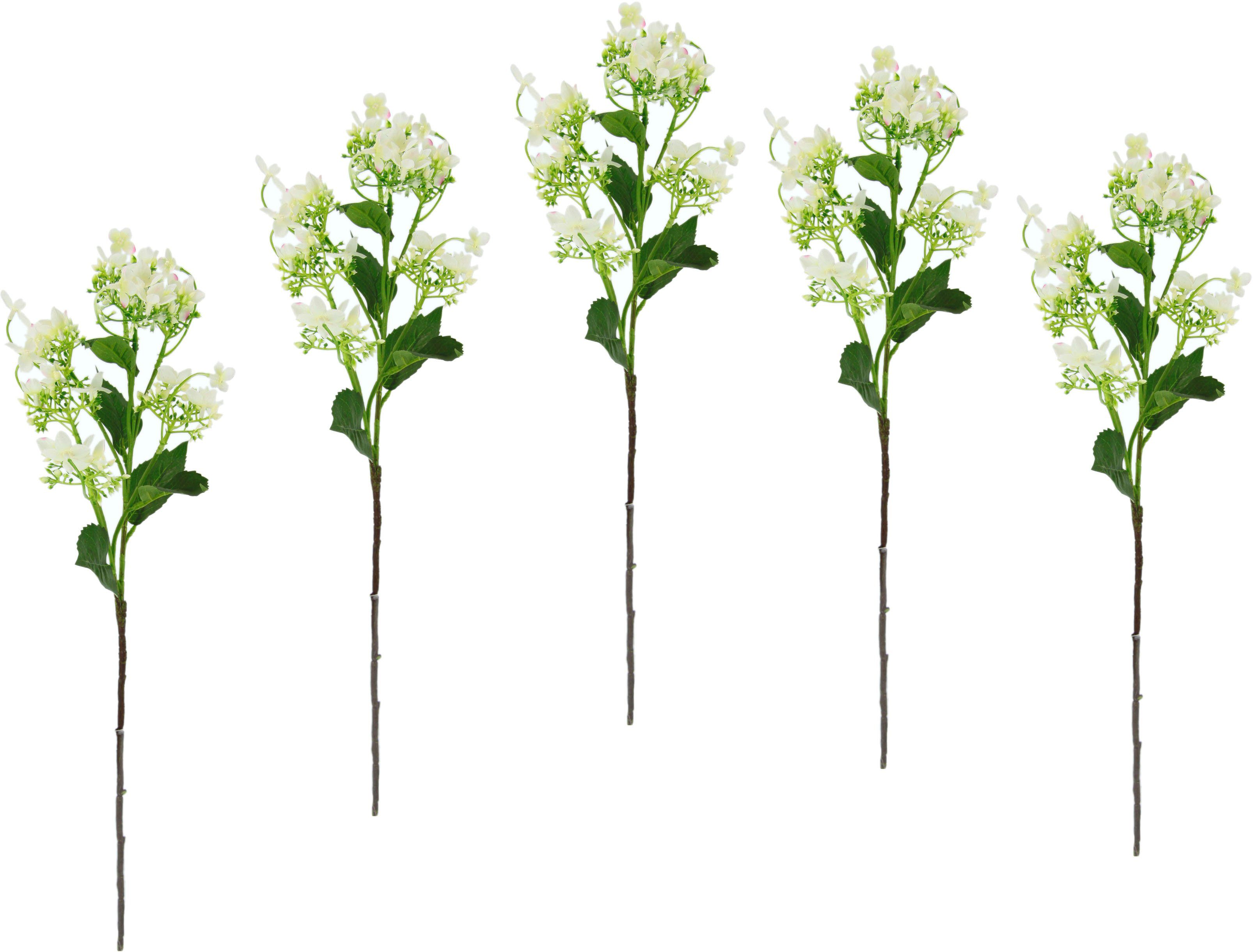 I.GE.A. Kunstbloem Bloementak set van 5 kunsttak, kunstplant, deco-tak (5 stuks)