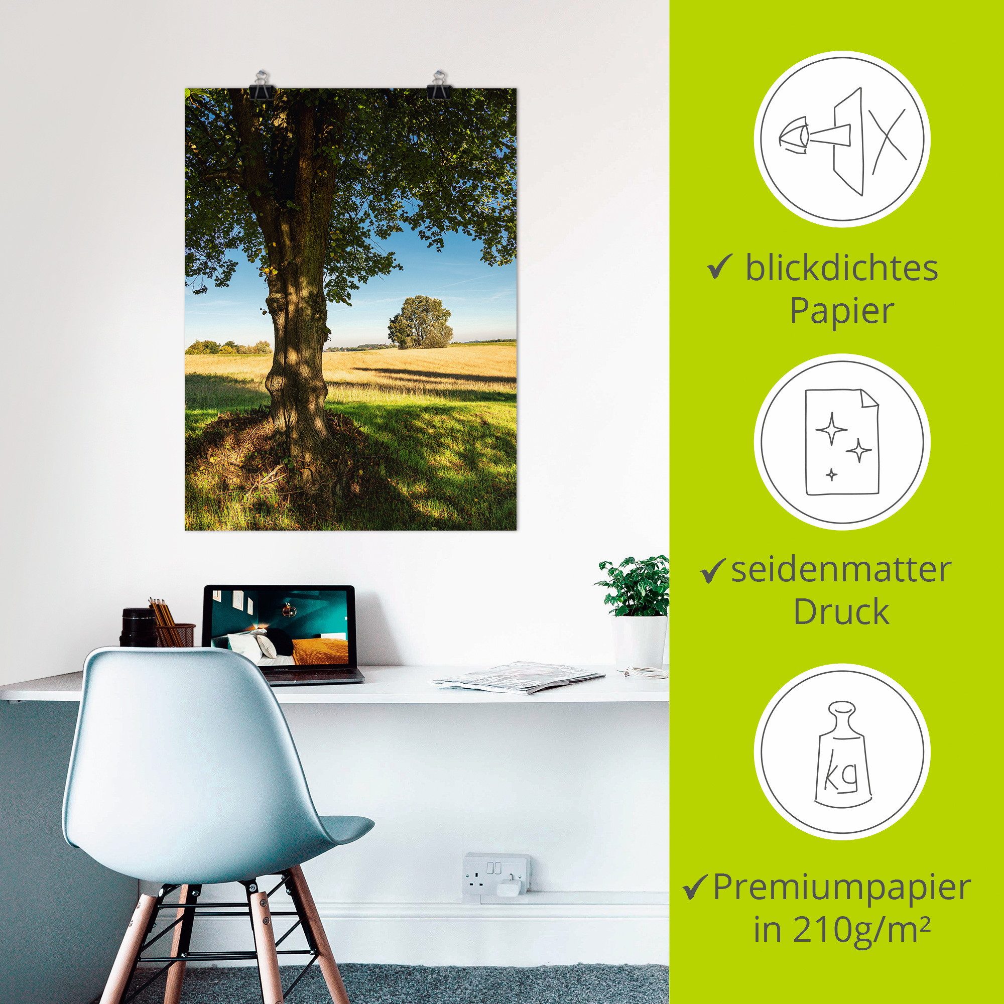 Artland Poster Veld en bomen bij Hohen Demzin als artprint van aluminium, artprint op linnen, muursticker of poster in verschillende maten