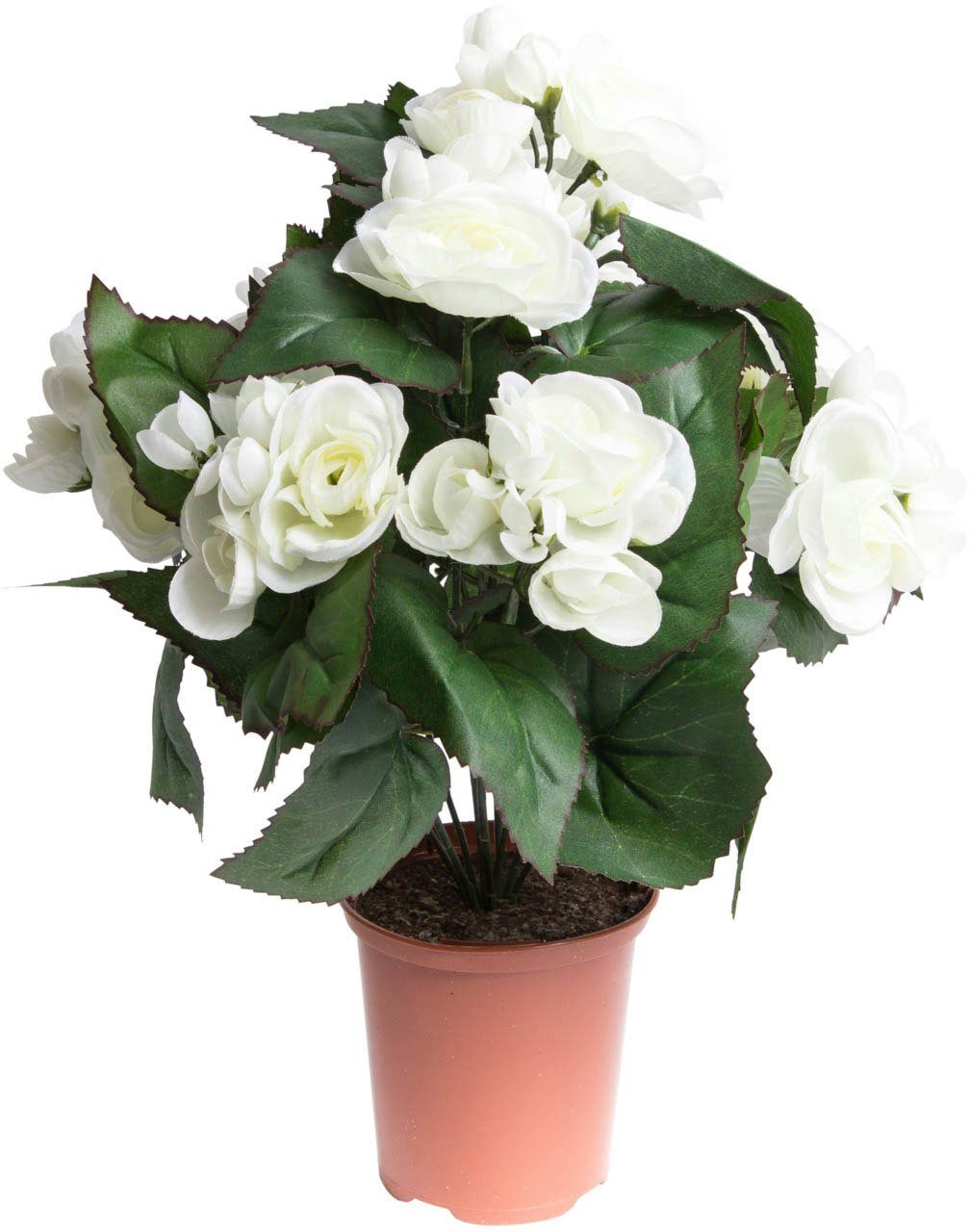 Botanic-Haus Kunstbloem Begonia in pot (1 stuk)