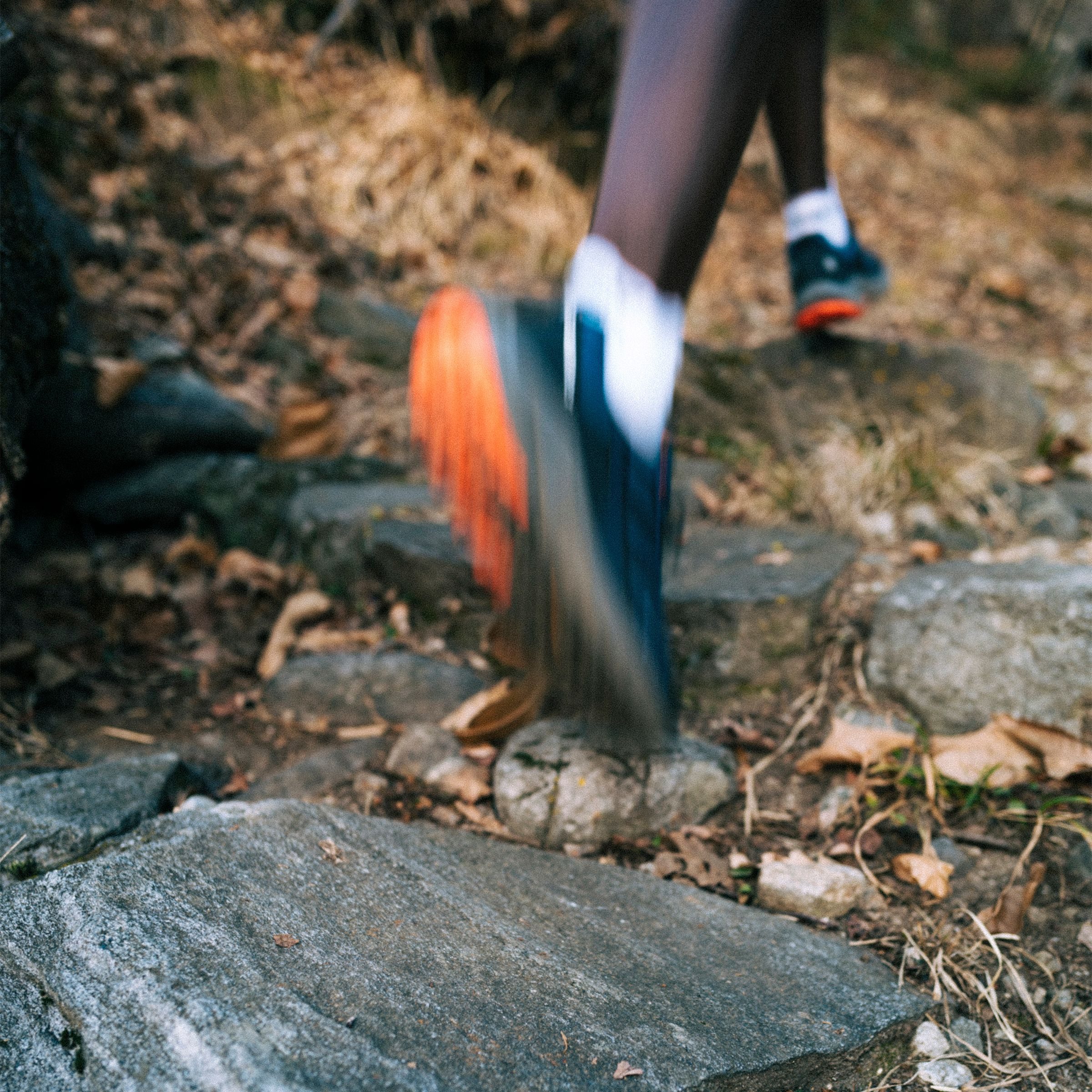 adidas TERREX Trailrunningschoenen TRAIL RIDER GORE-TEX TRAILRUNNING