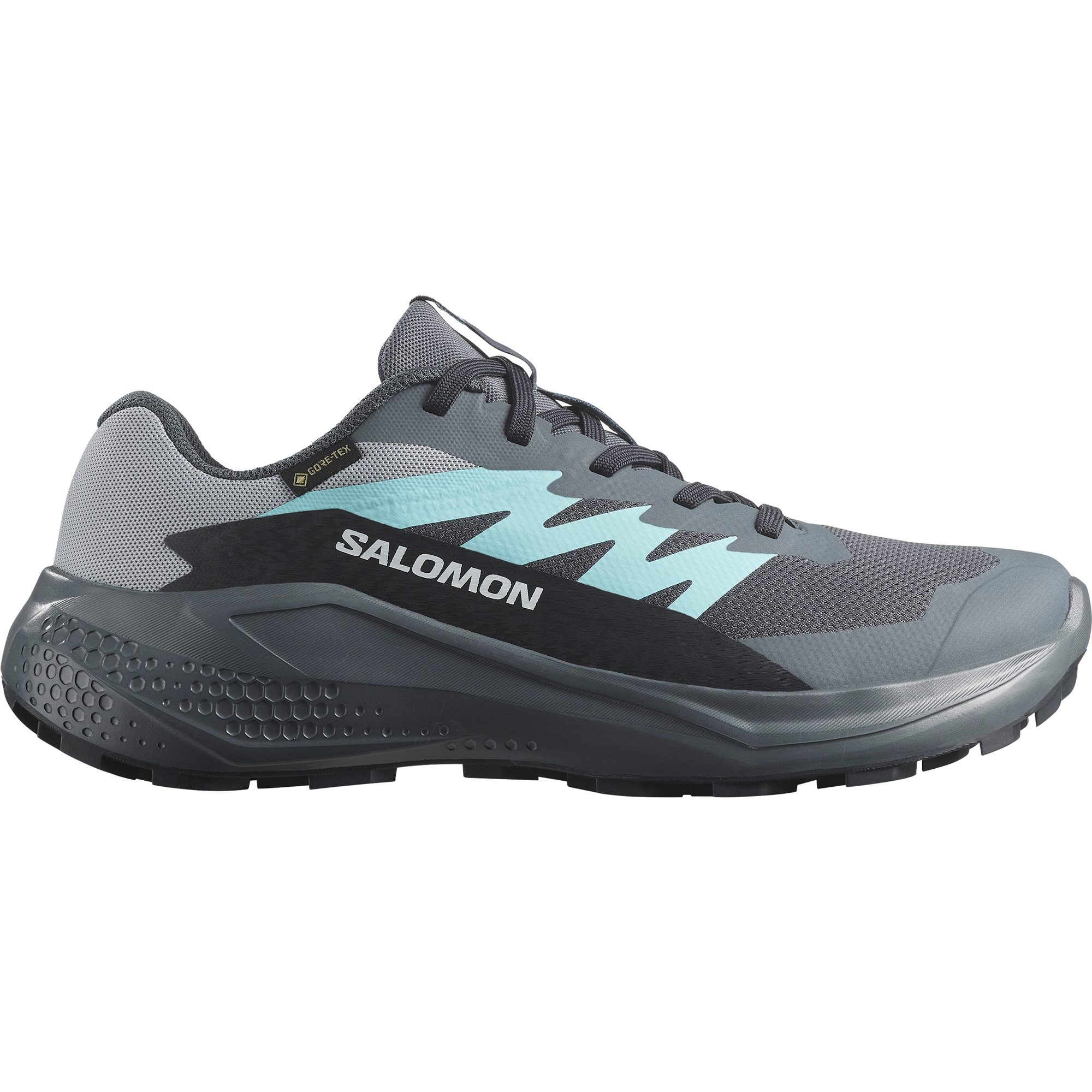 Salomon Trailrunningschoenen ALPHAGLIDE GTX W