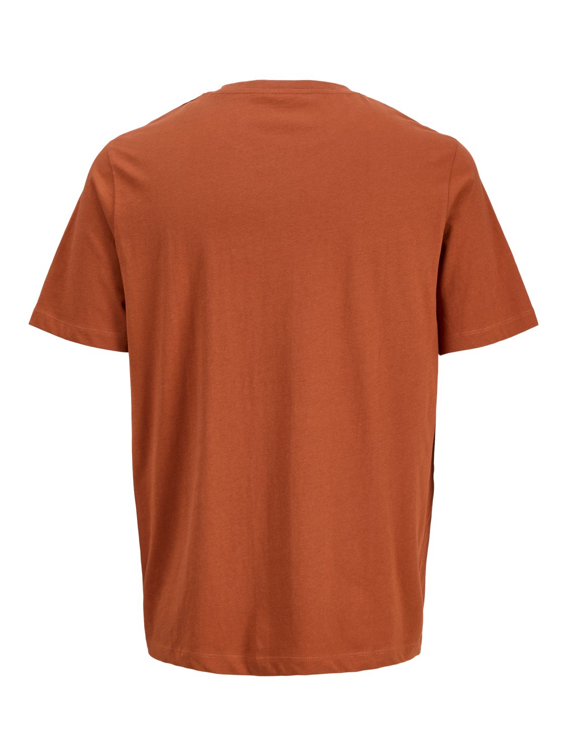 Jack & Jones Shirt met print JORCANGGU TEE SS CREW NECK FST