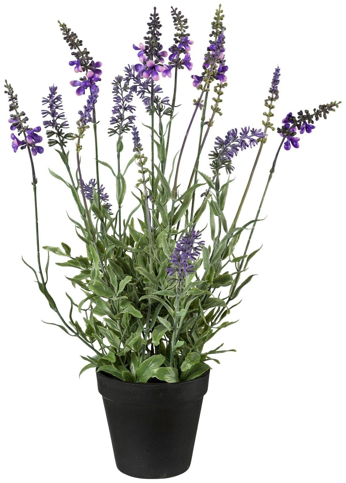 Creativ green Kunstplant Lavendel in de pot (1 stuk)