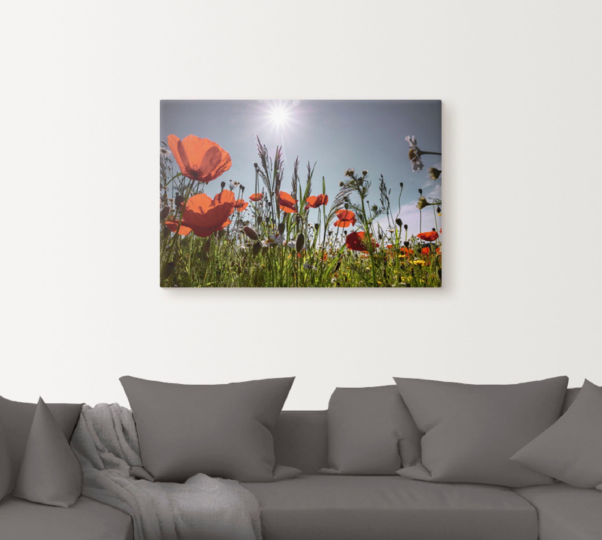 Artland Artprint Klaprozenveld als artprint van aluminium, artprint voor buiten, artprint op linnen, poster in verschillende maten. maten