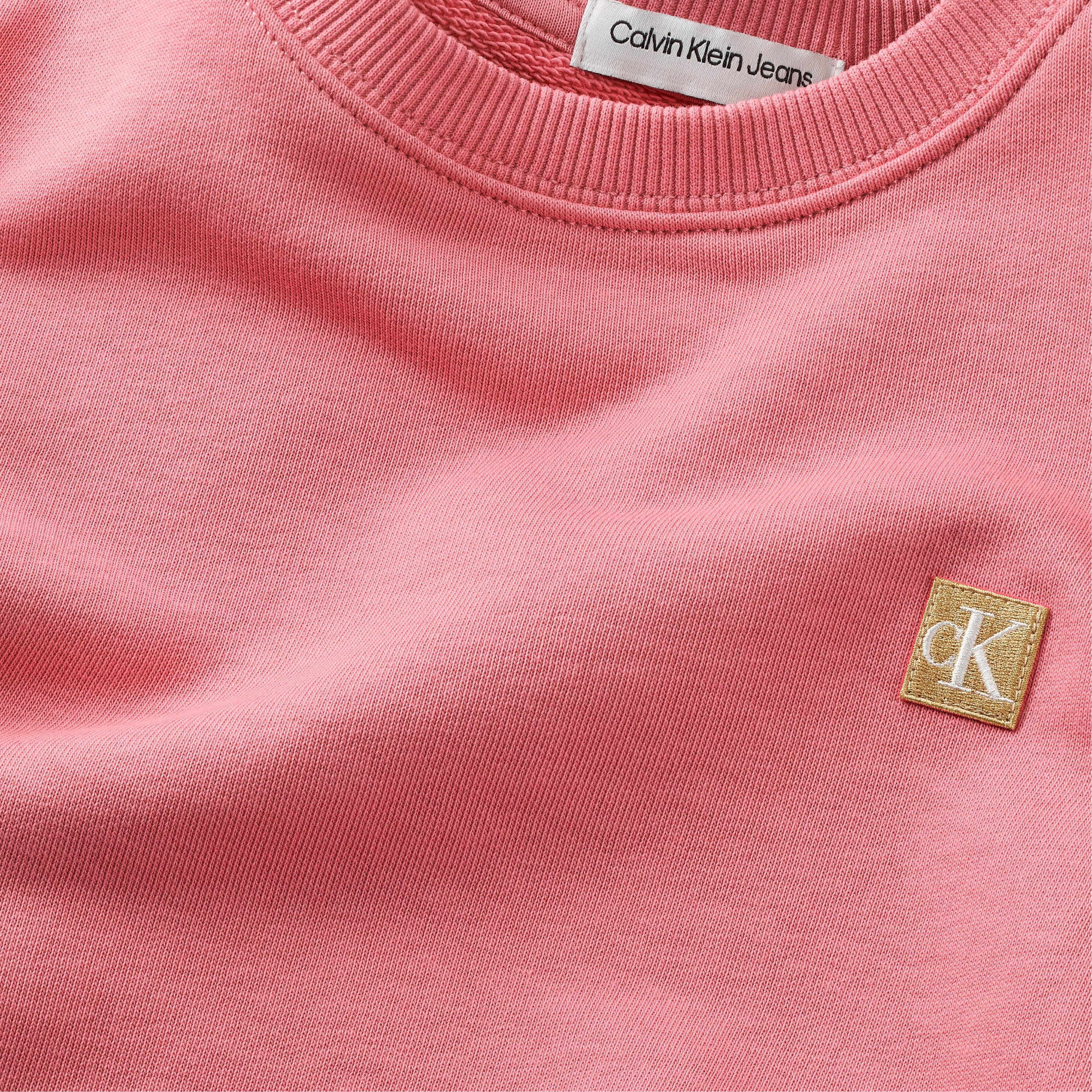 Calvin Klein Sweatshirt MONO MINI BADGE REG CN voor kinderen tot 16 jaar met logo-opdruk