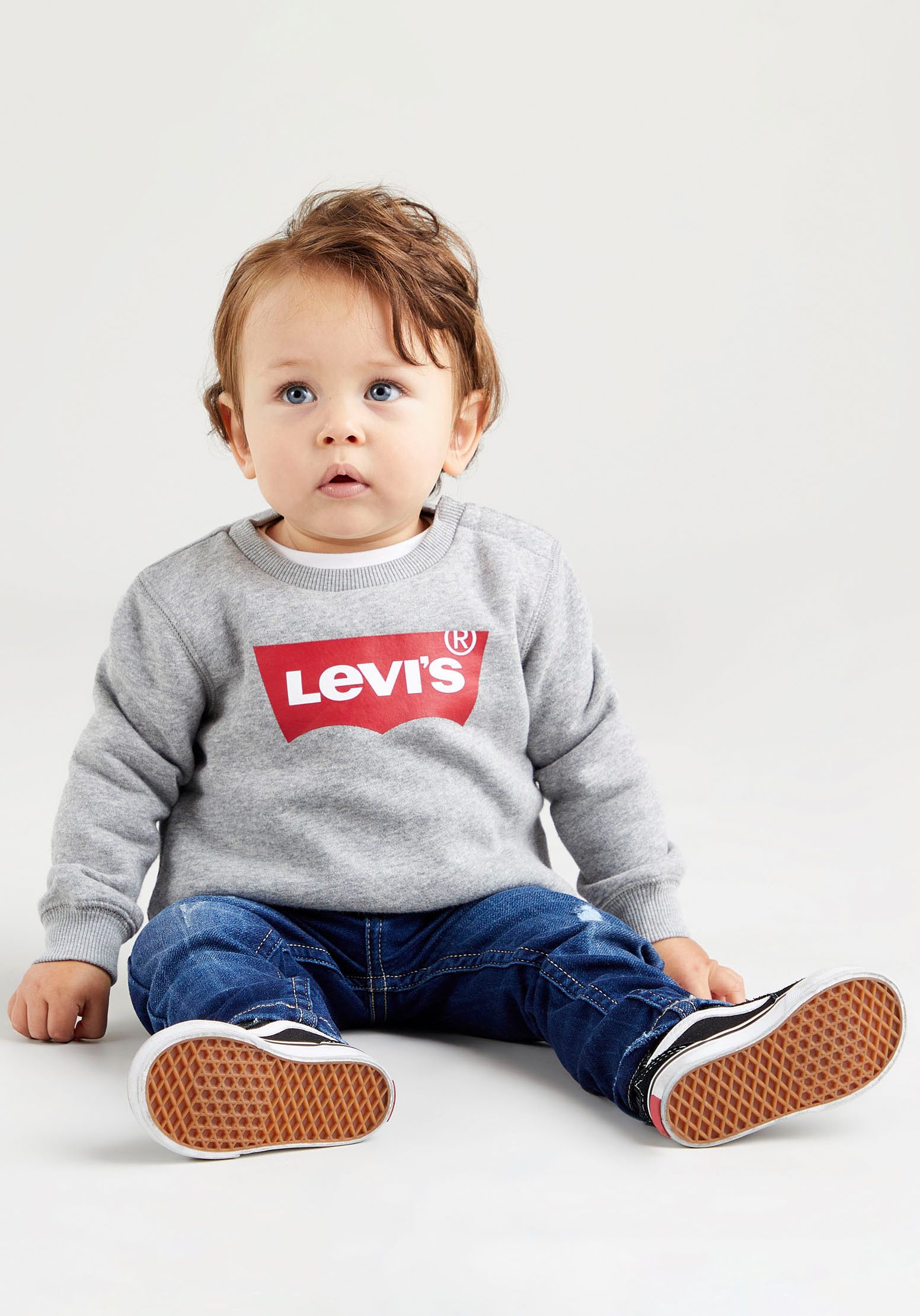 Levi's Kidswear Sweatshirt LVB LVB FRENCH TERRY BATWING