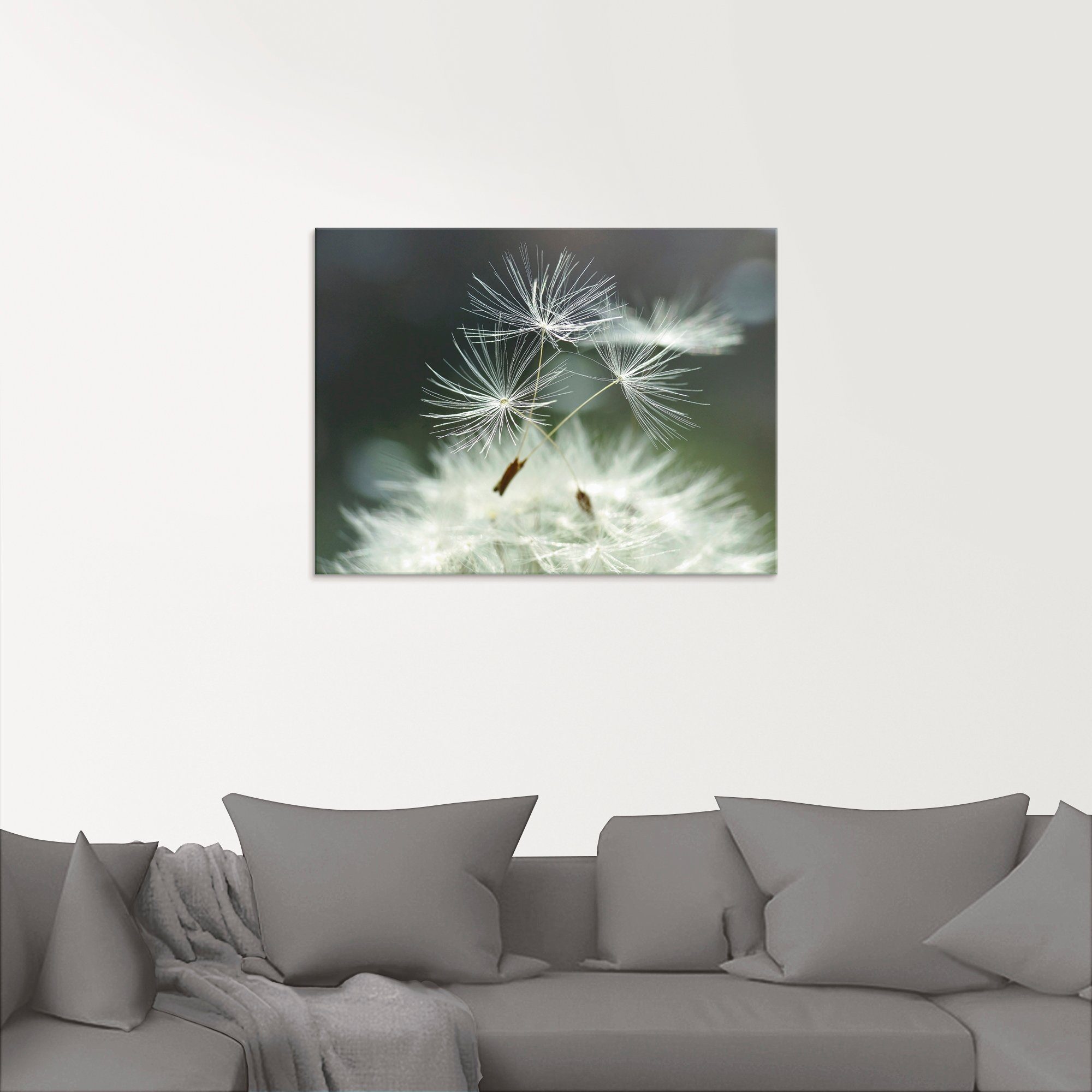 Artland Print op glas Pluizenbol Facility in verschillende maten