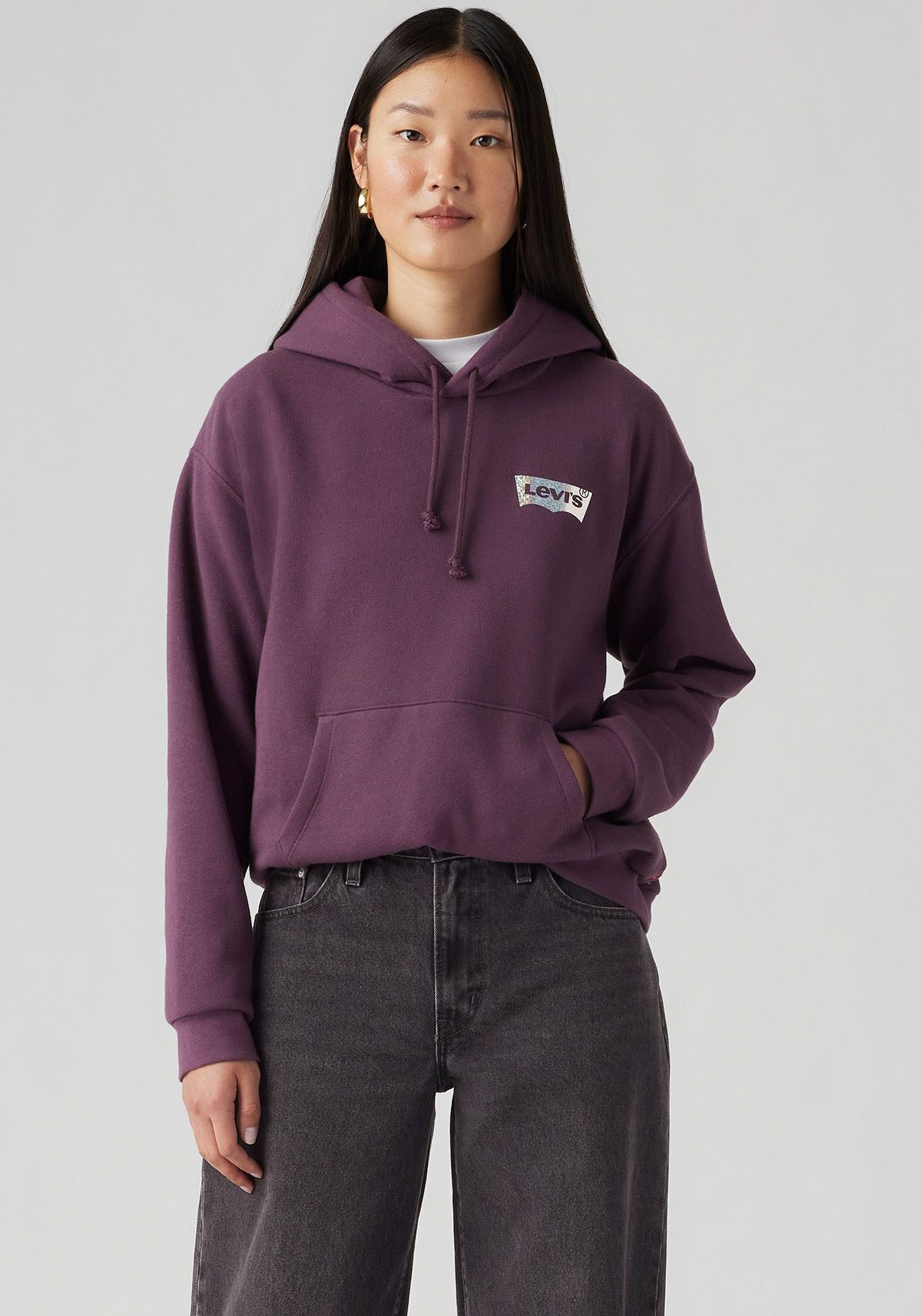 Levi's® Hoodie GRAPHIC EVERYDAY HOODIE