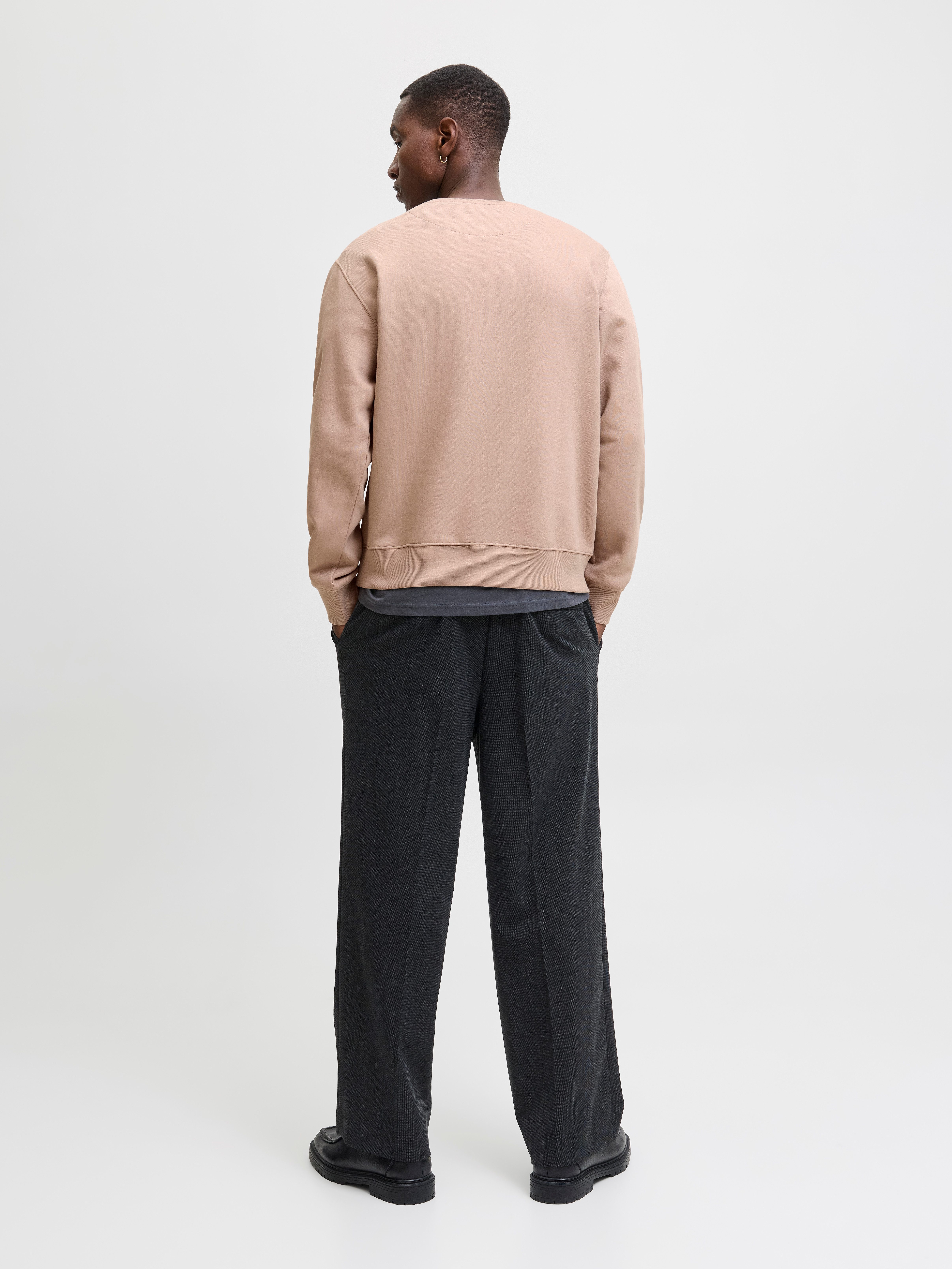 Jack & Jones Sweatshirt JJESTAR BASIC SWEAT CREW NECK NOOS