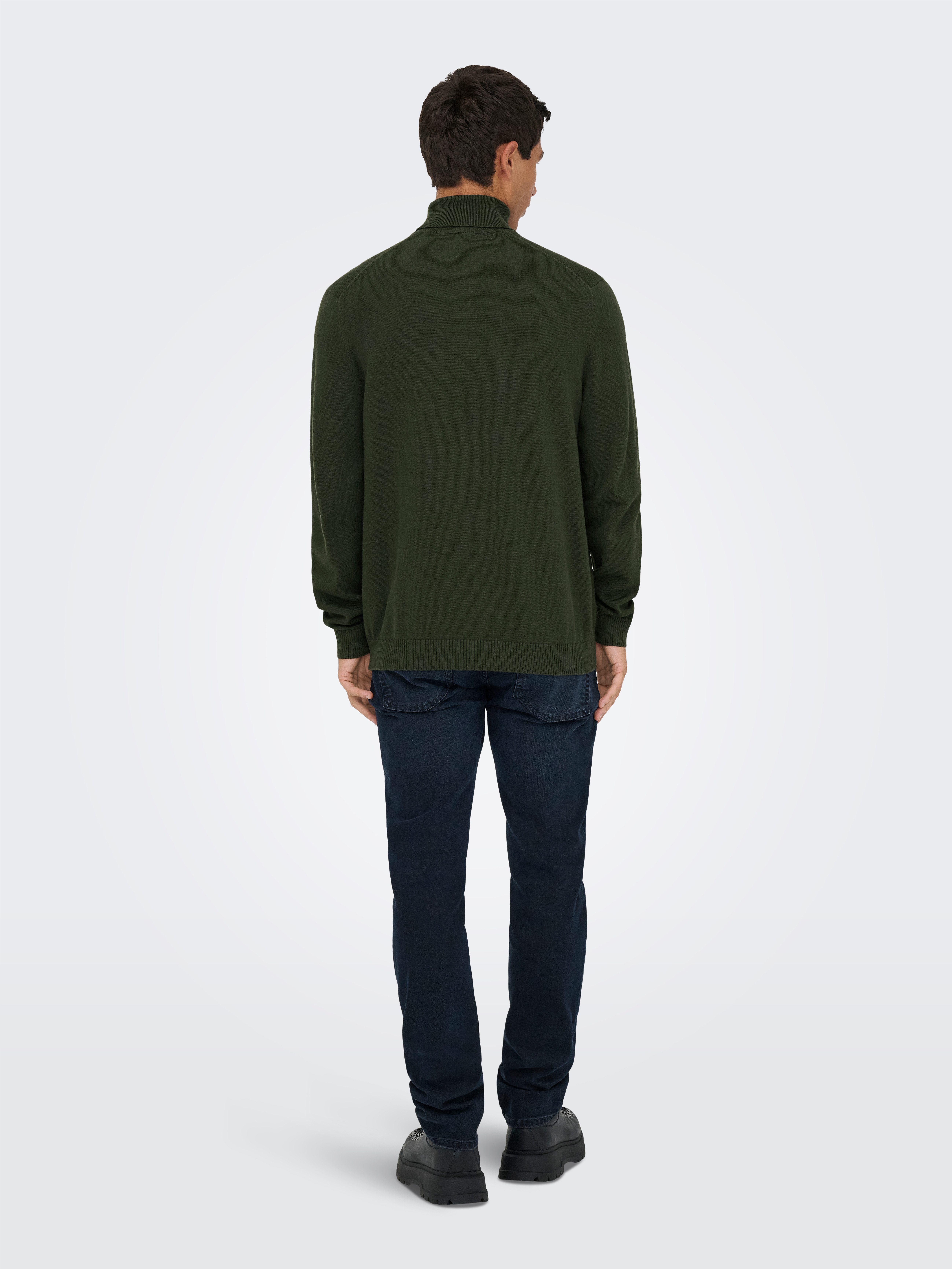 ONLY & SONS Coltrui ONSHOLGER REG ROLL NECK KNIT - OTL