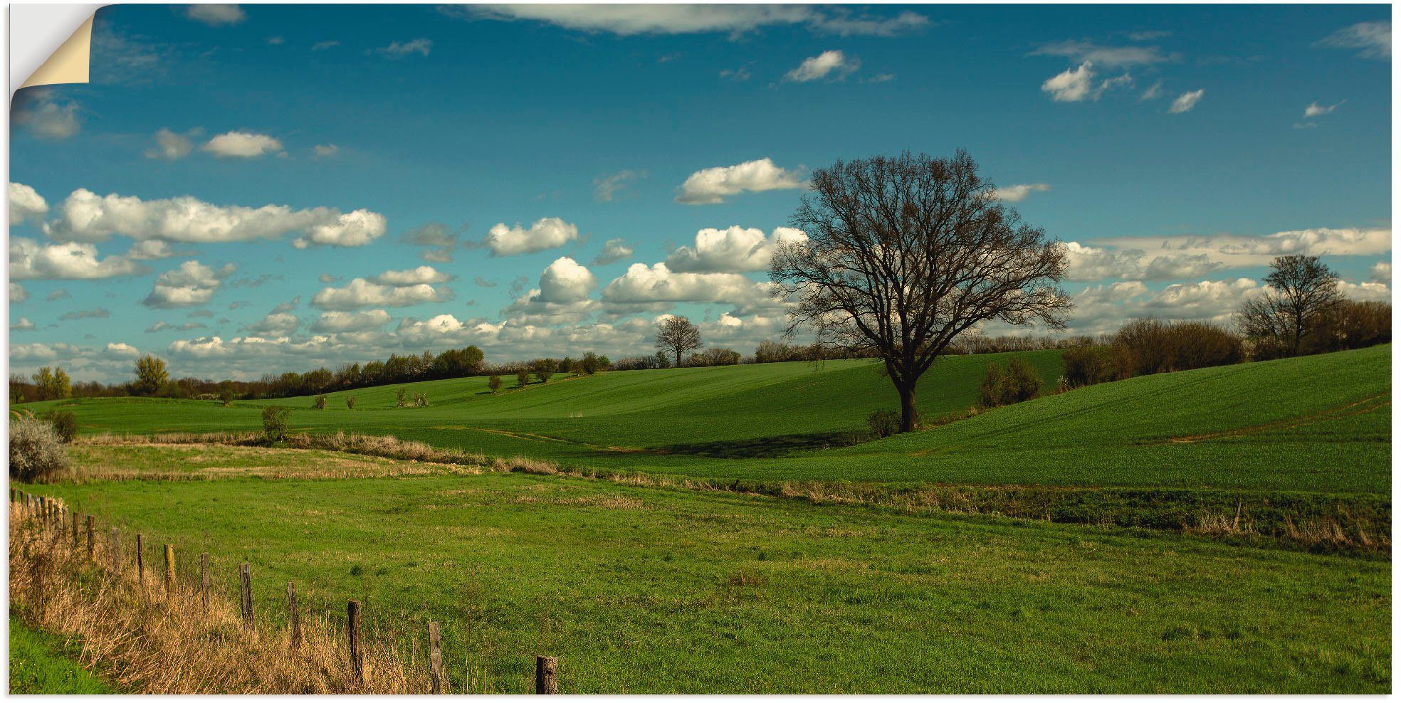 Artland Artprint Puur natuur als artprint op linnen, muursticker in verschillende maten foto schilderijen groen