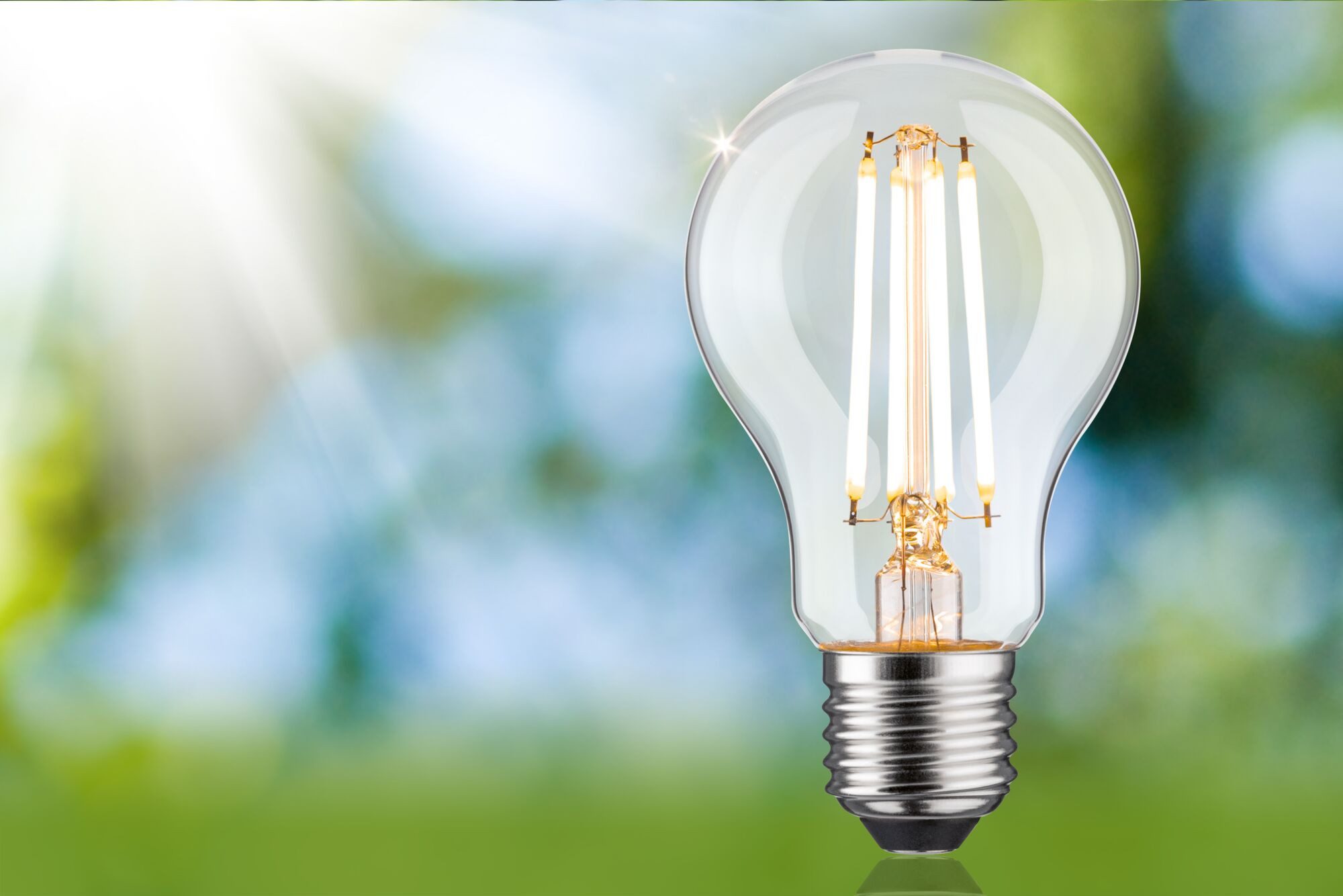 Paulmann Led-verlichting Eco-Line filament 230V LED-lamp E27 1521lm 8,2W 3000K dimbaar helder