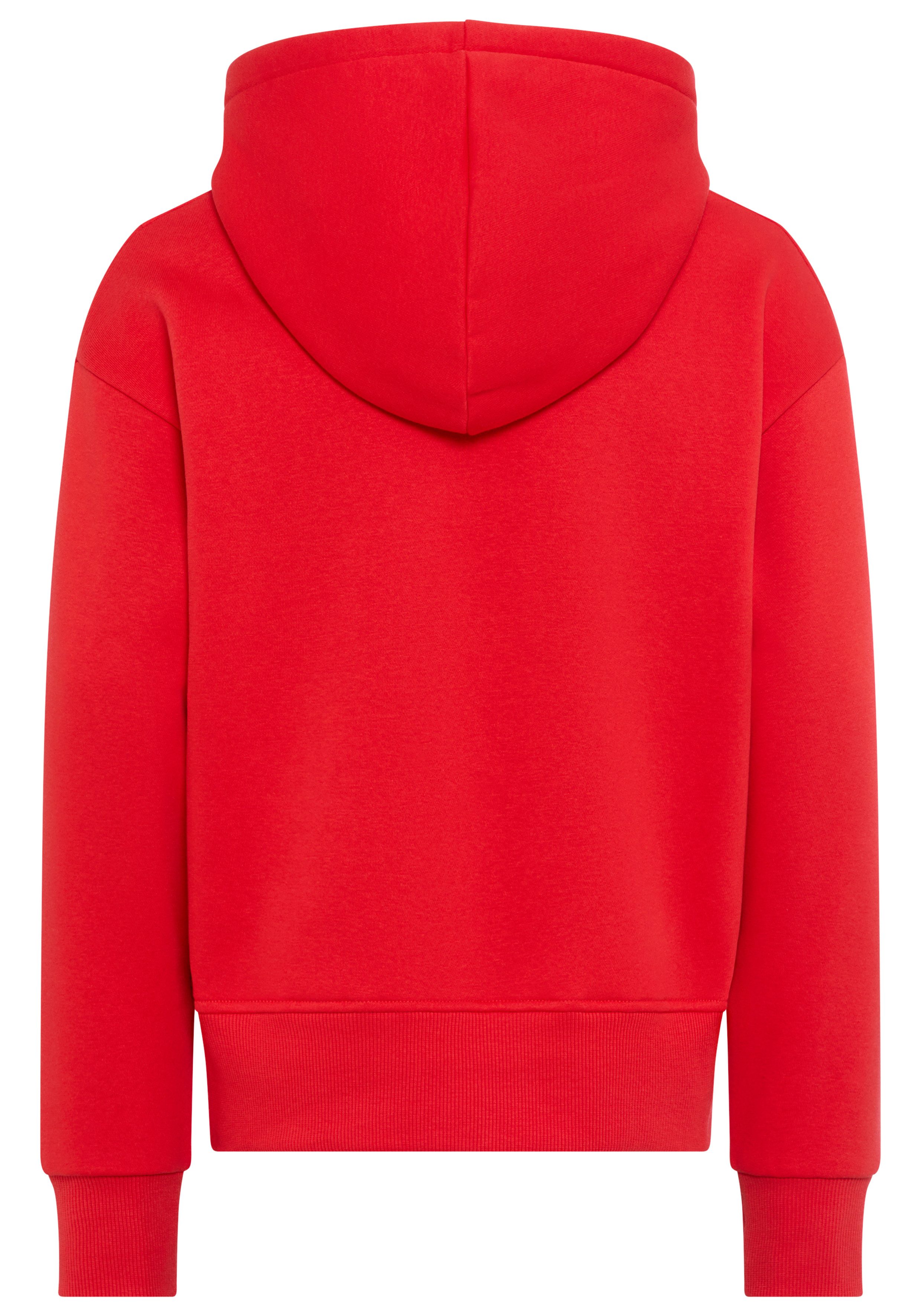 Levi's Kidswear Hoodie LVG BATWING PATCH HOODIE