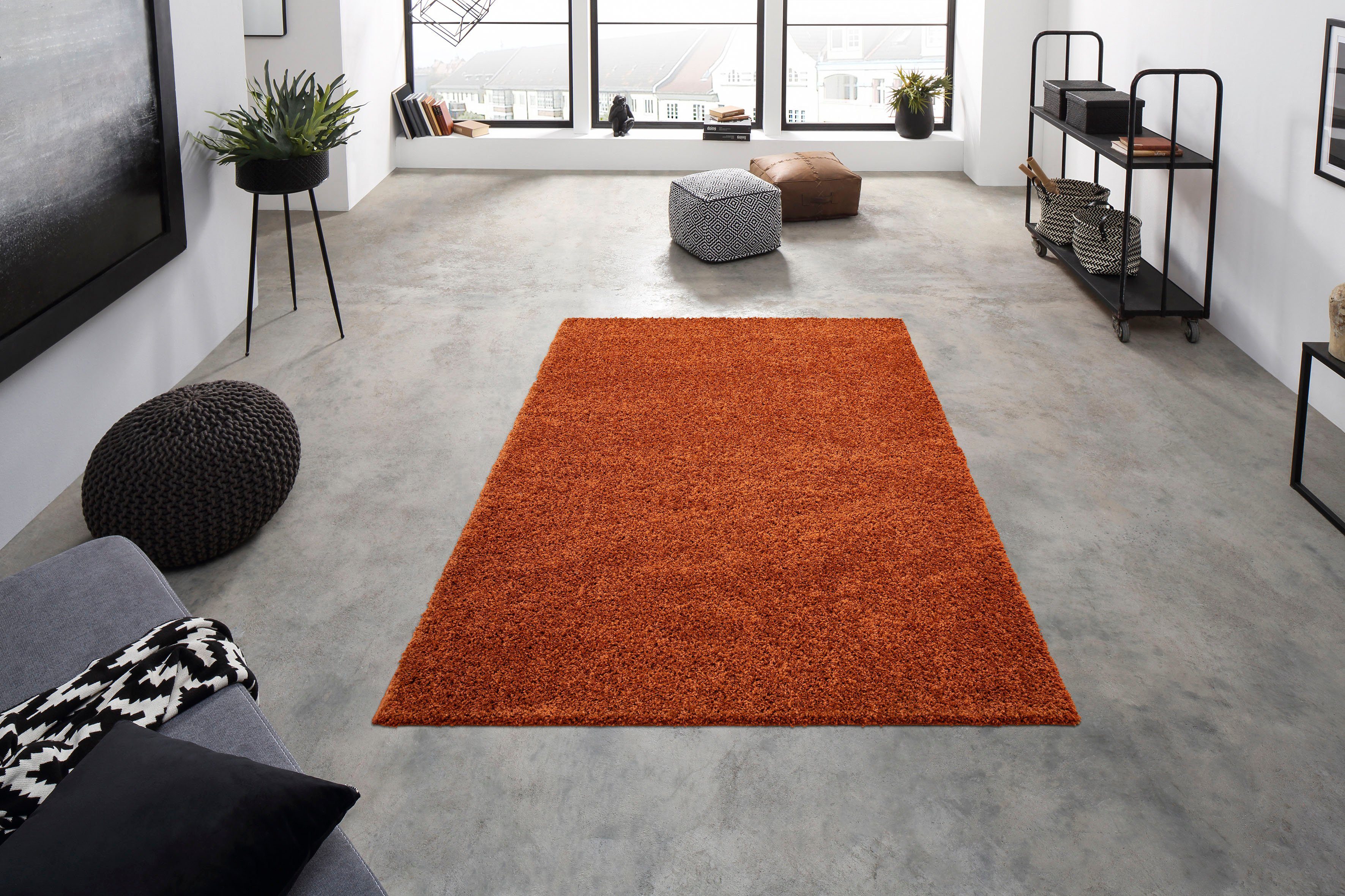 my home Hoogpolig vloerkleed Shaggy 30 Tapijt, uni kleuren, bijzonder zacht en knuffelig, klantenfavoriet