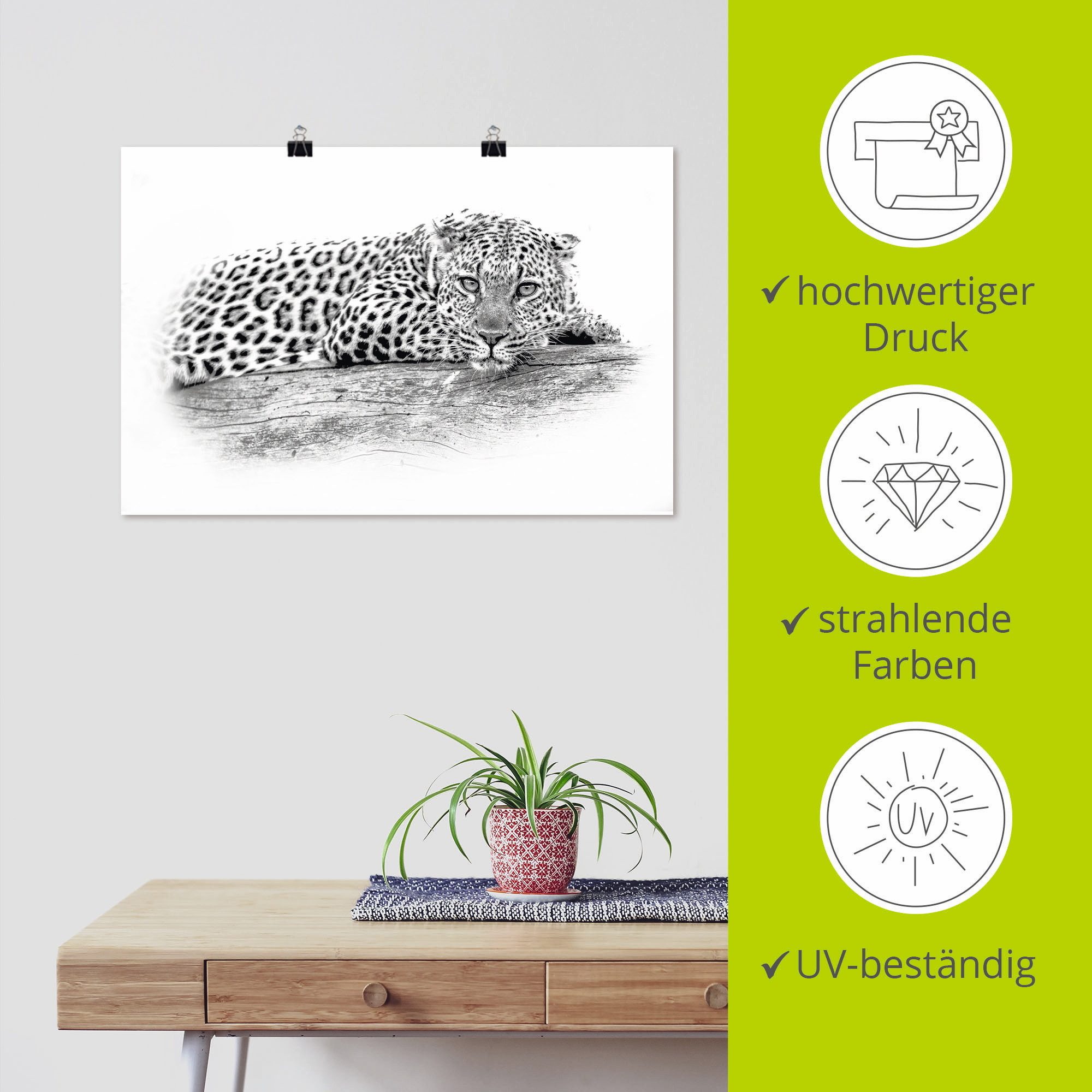 Artland Artprint Luipaard highkey look als artprint van aluminium, artprint op linnen, muursticker of poster in verschillende maten