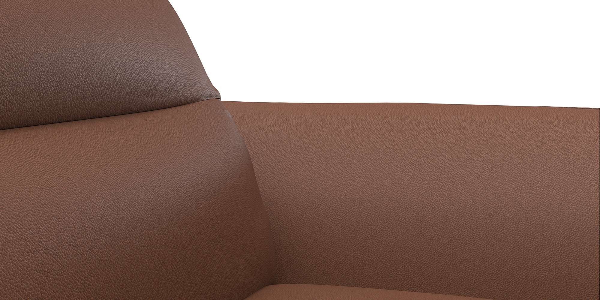 FLEXLUX 2,5-zits Salino, functie-sofa, relaxsofa Bank met arm- en hoofdeinde verstellingen, koudschuim & staalgolven