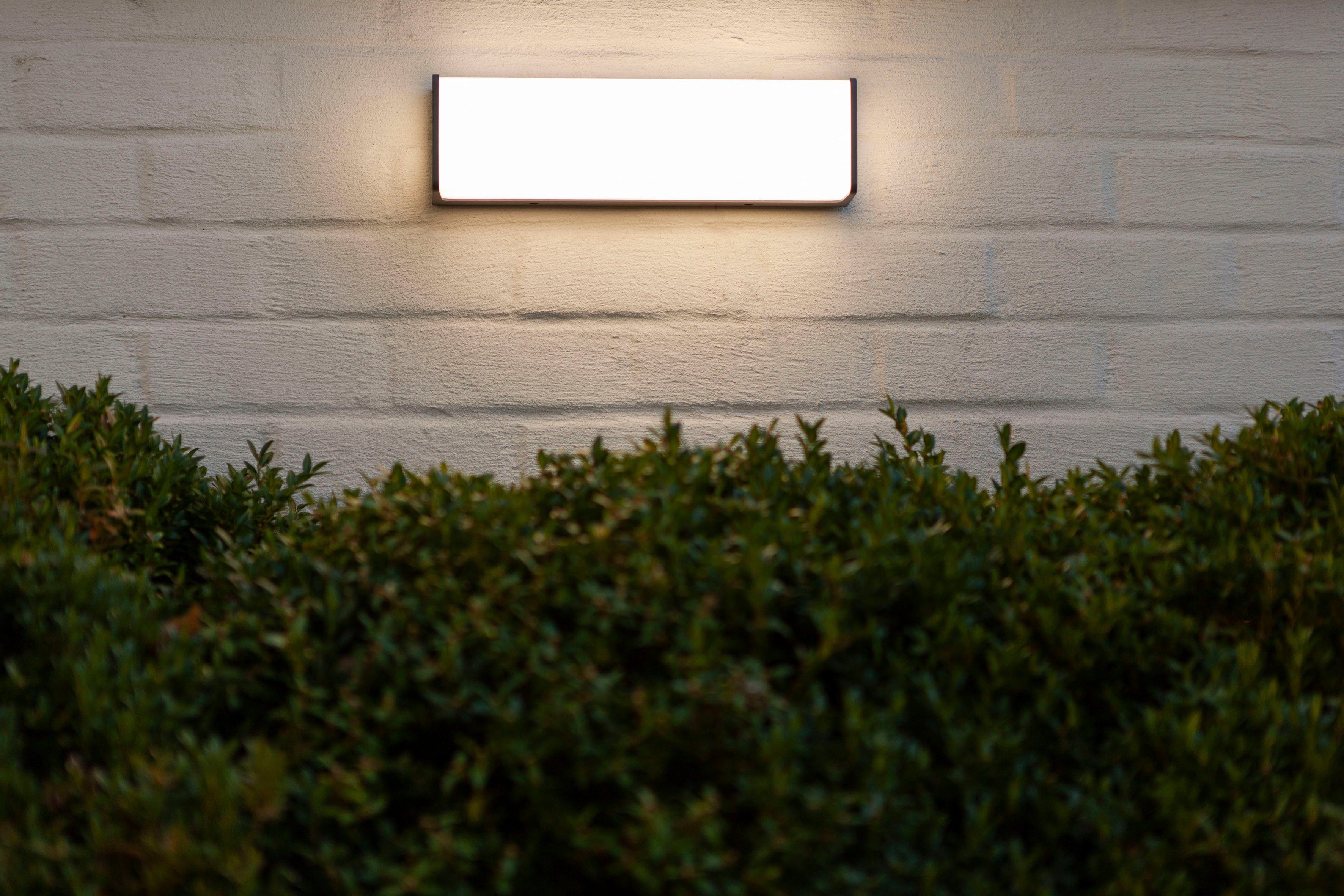 LUTEC Ledwandlamp voor buiten DOBLO (1 stuk)