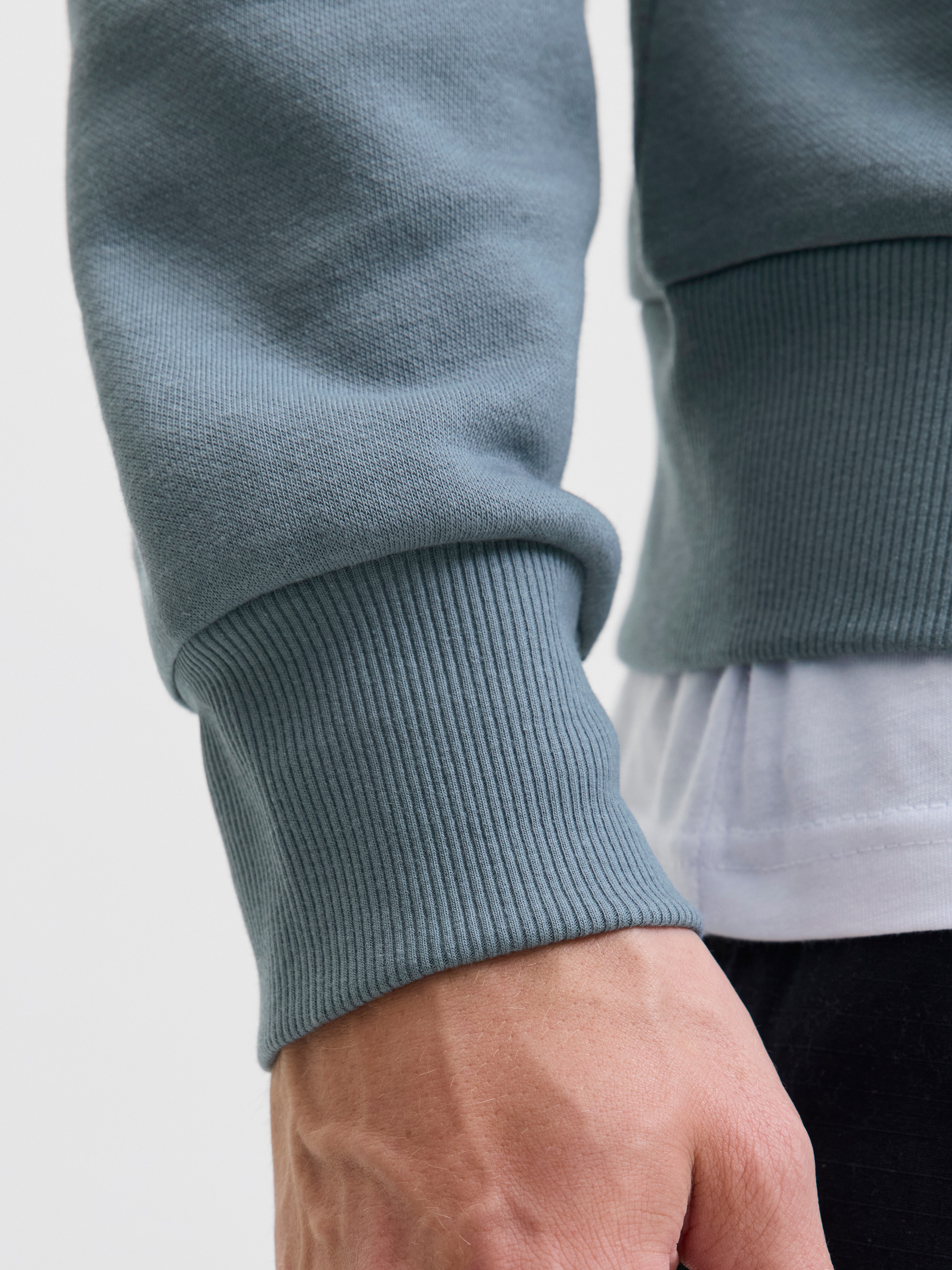 Jack & Jones Hoodie JJPAN SWEAT HOOD
