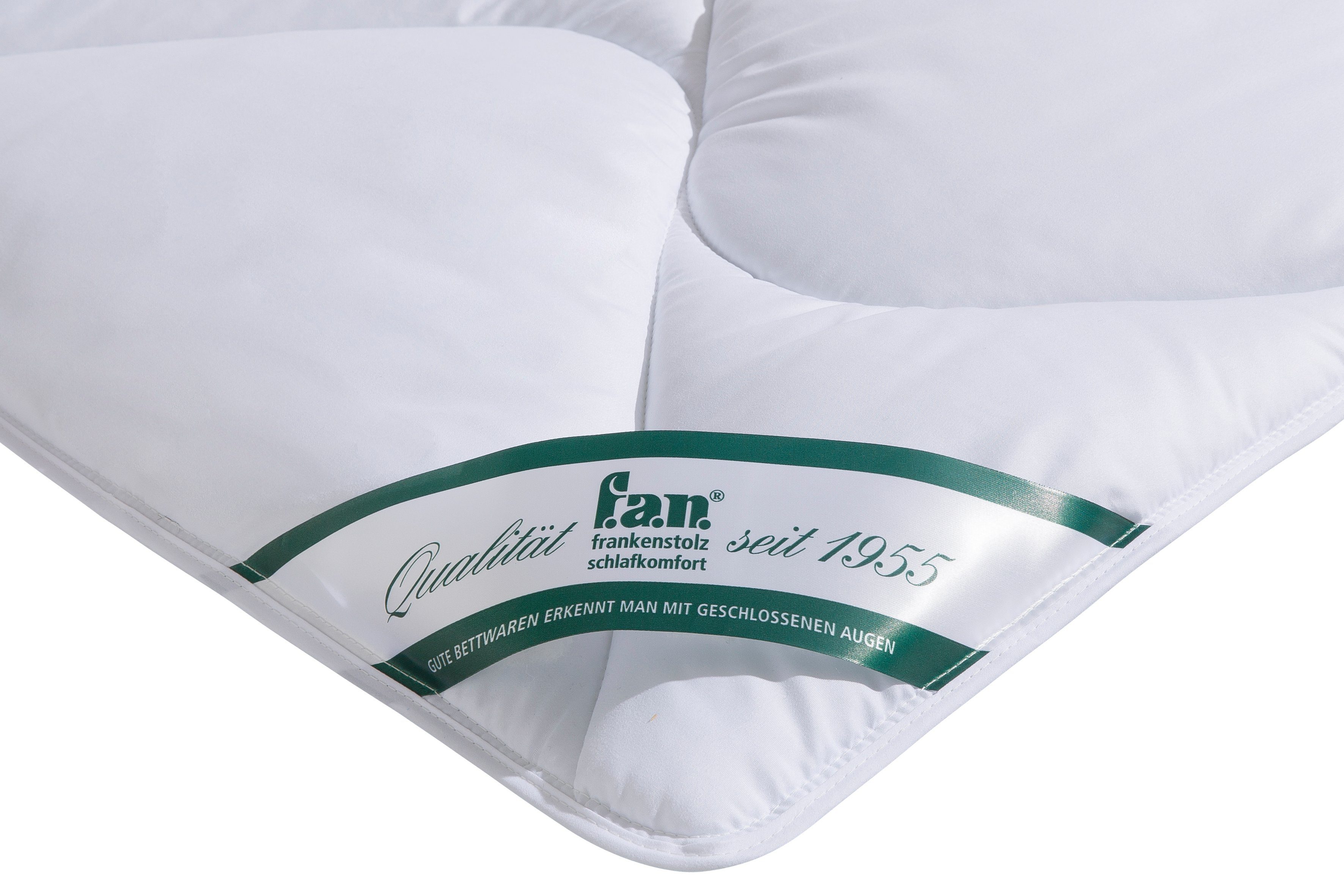 f.a.n. Frankenstolz Synthetisch dekbed + hoofdkussen Beddengoed in 135x200 cm, voor zomer of 4-seizoenen (voordeelset)