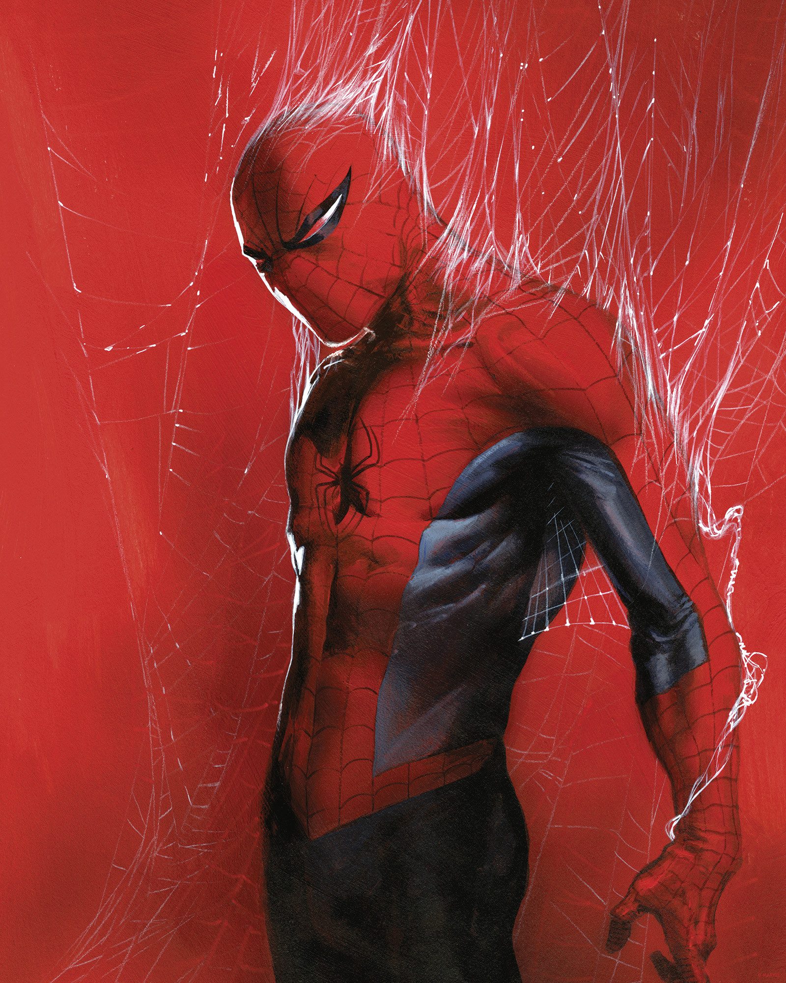 Komar Artprint Marvel Spider-Man Through the Spider Web 40 x 60 cm (breedte x hoogte) - kinderkamer, decoratie (1 stuk)